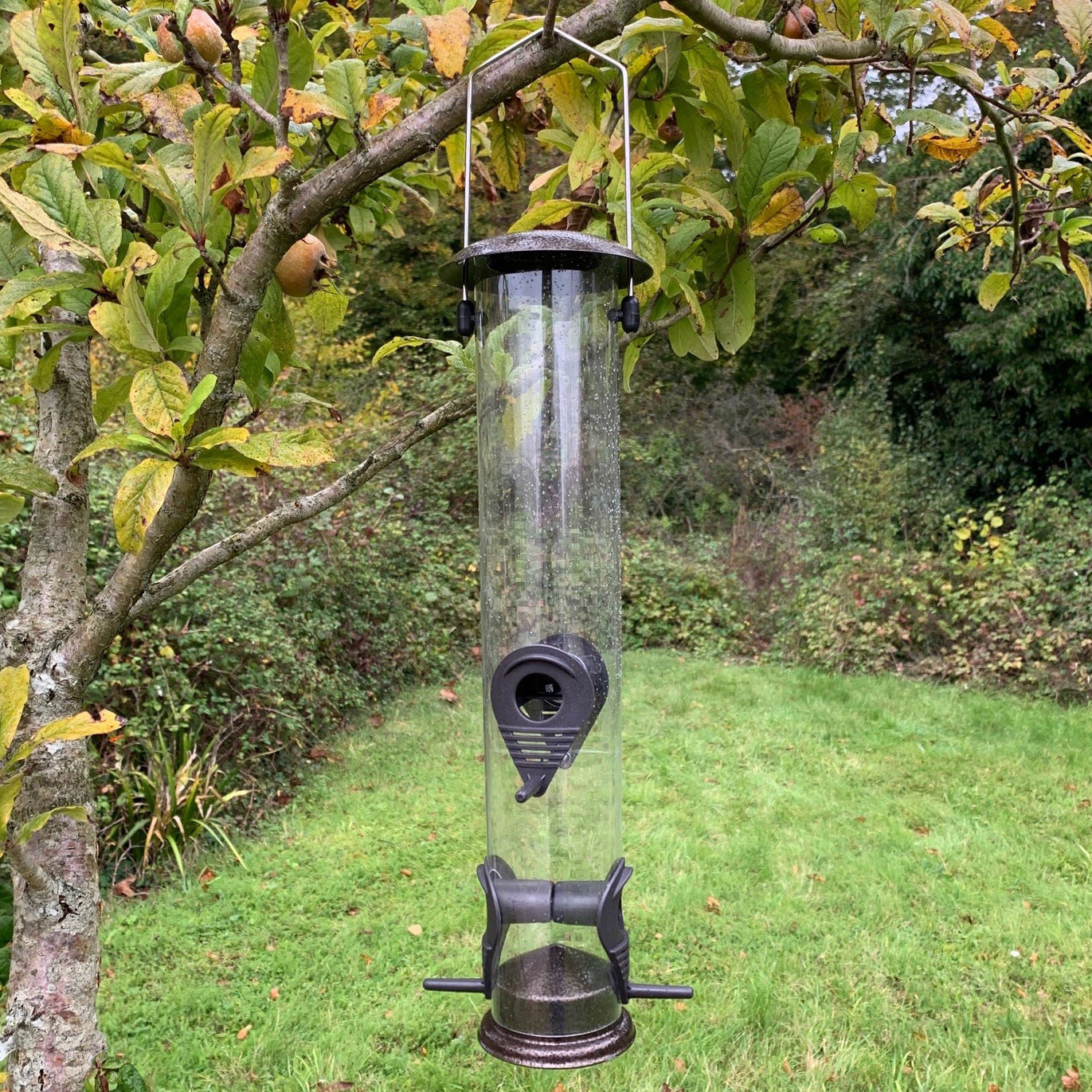 Large Hanging Bird Seed Feeders (Set of 4)