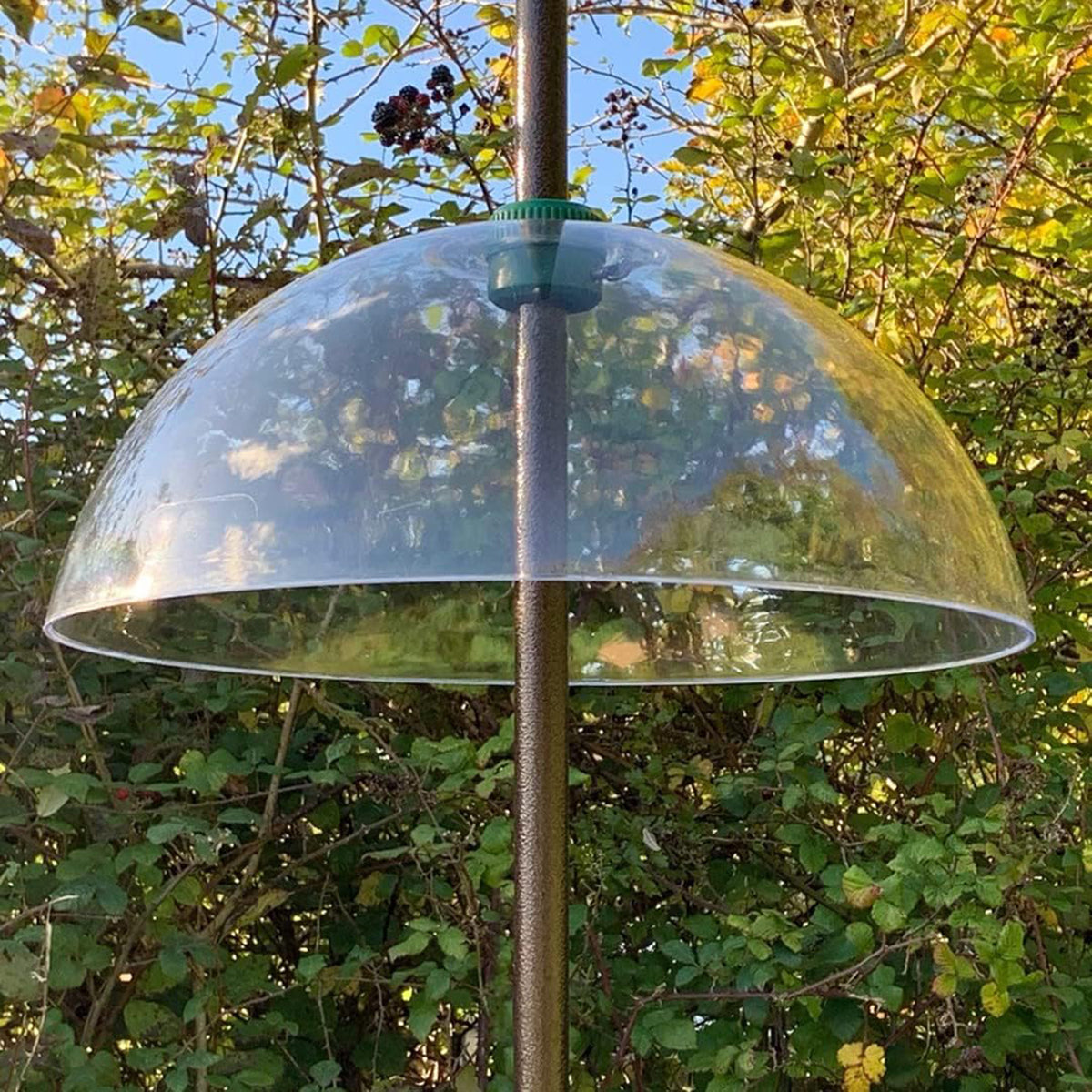 Bird Feeding Station Squirrel Baffle, Extension Pole & Stabiliser Stand Pack