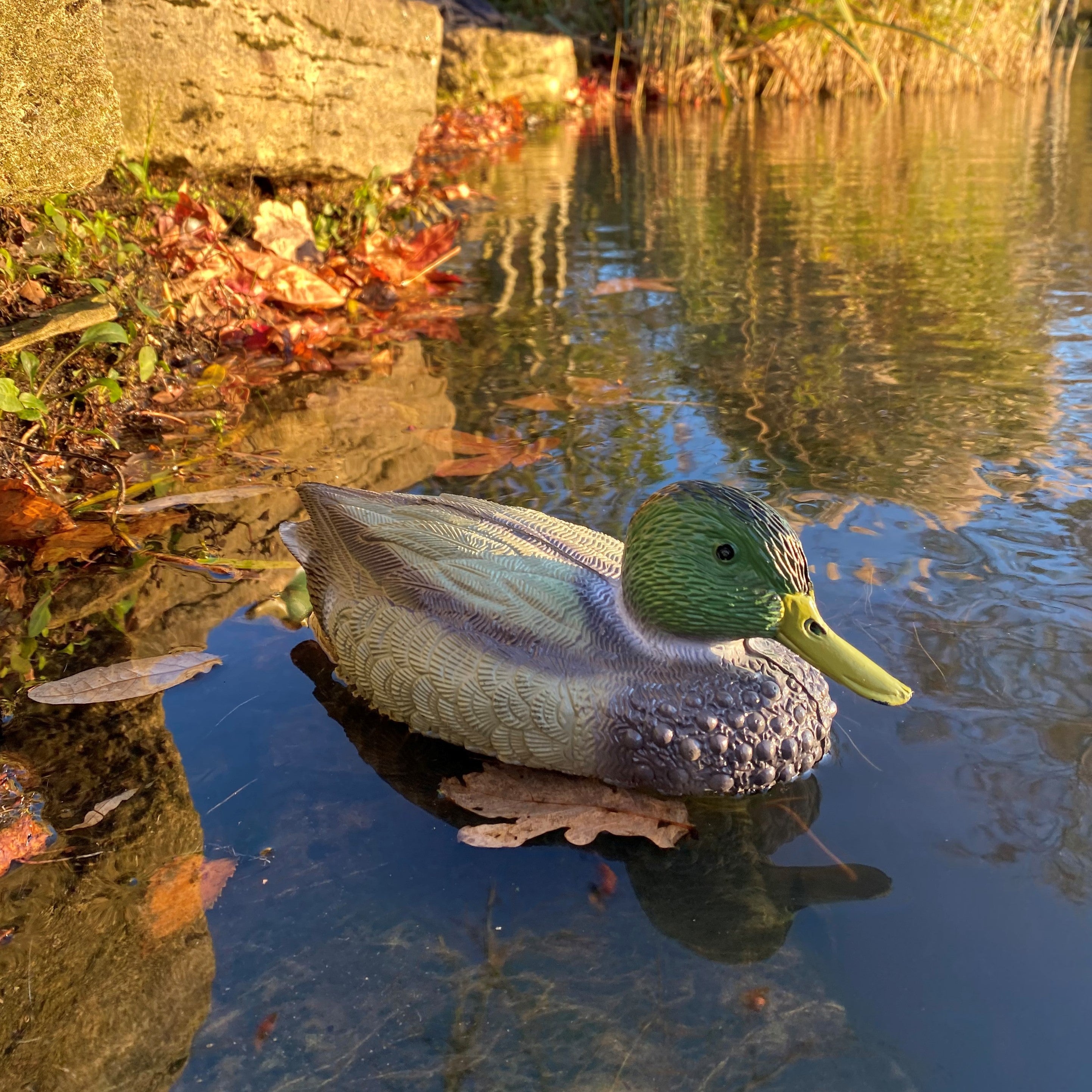 Mallard Duck Pond Ornament Hunting Shooting Floating Decoy - Pack of 6