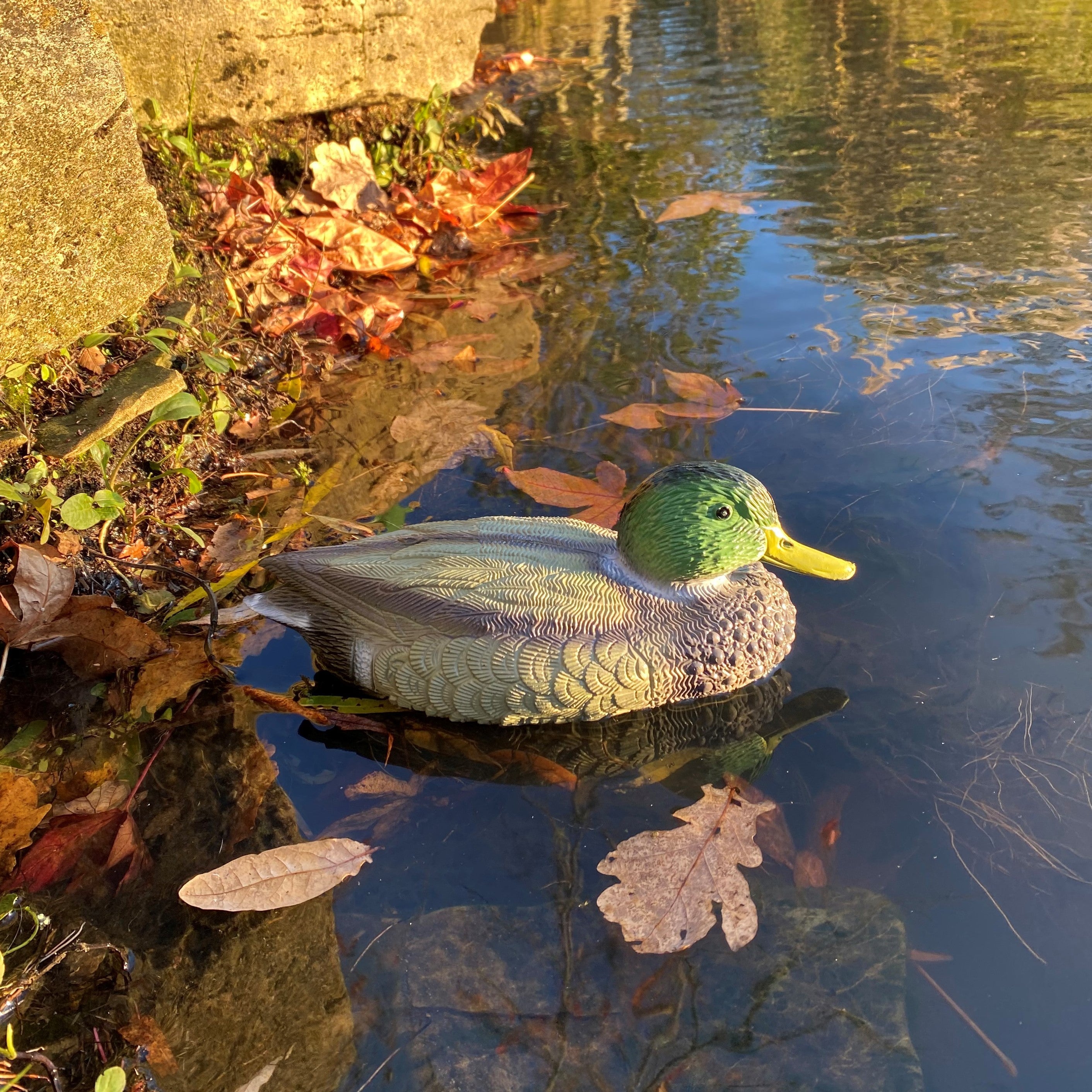 Mallard Duck Pond Ornament Hunting Shooting Floating Decoy - Pack of 6