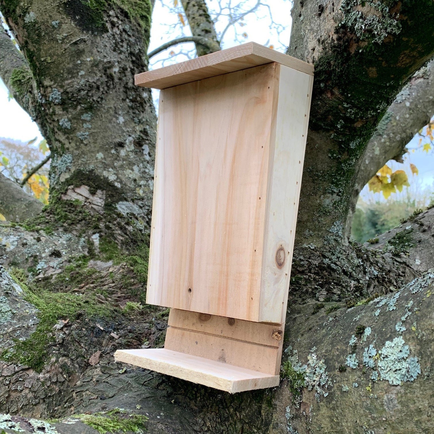 Wooden Bat Box House Rooster Nest with Landing Perch