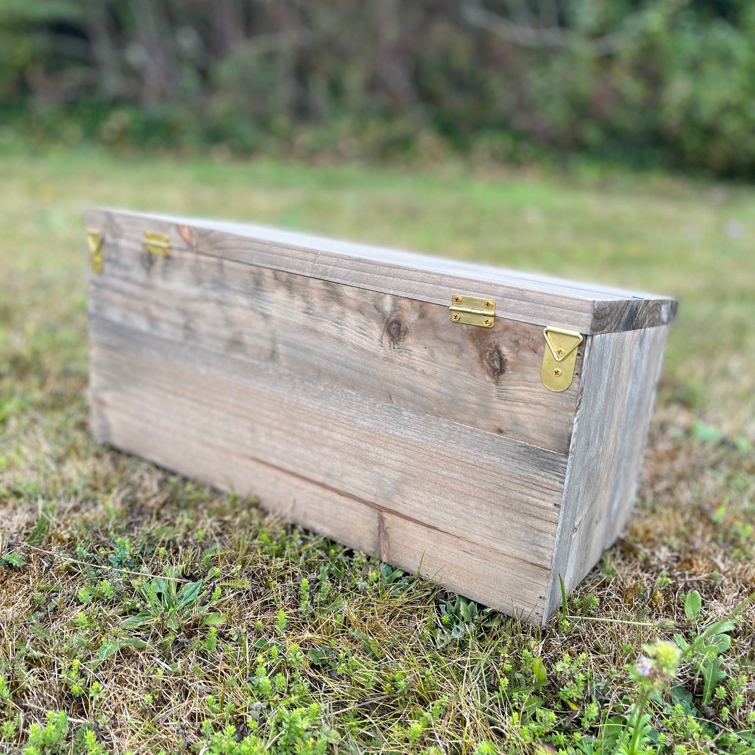 Sparrow Colony Terrace Wooden Nesting Box