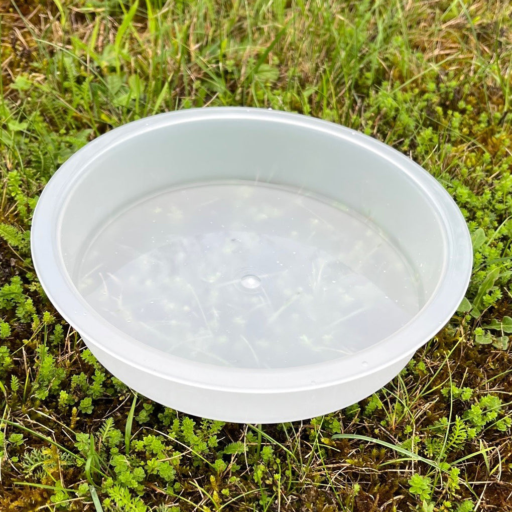 Bird Bath Water Dish for Metal Bird Feeding Stations (Set of 2)