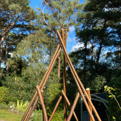 Expanding Willow Obelisk Garden Plant Support (1.2m high)