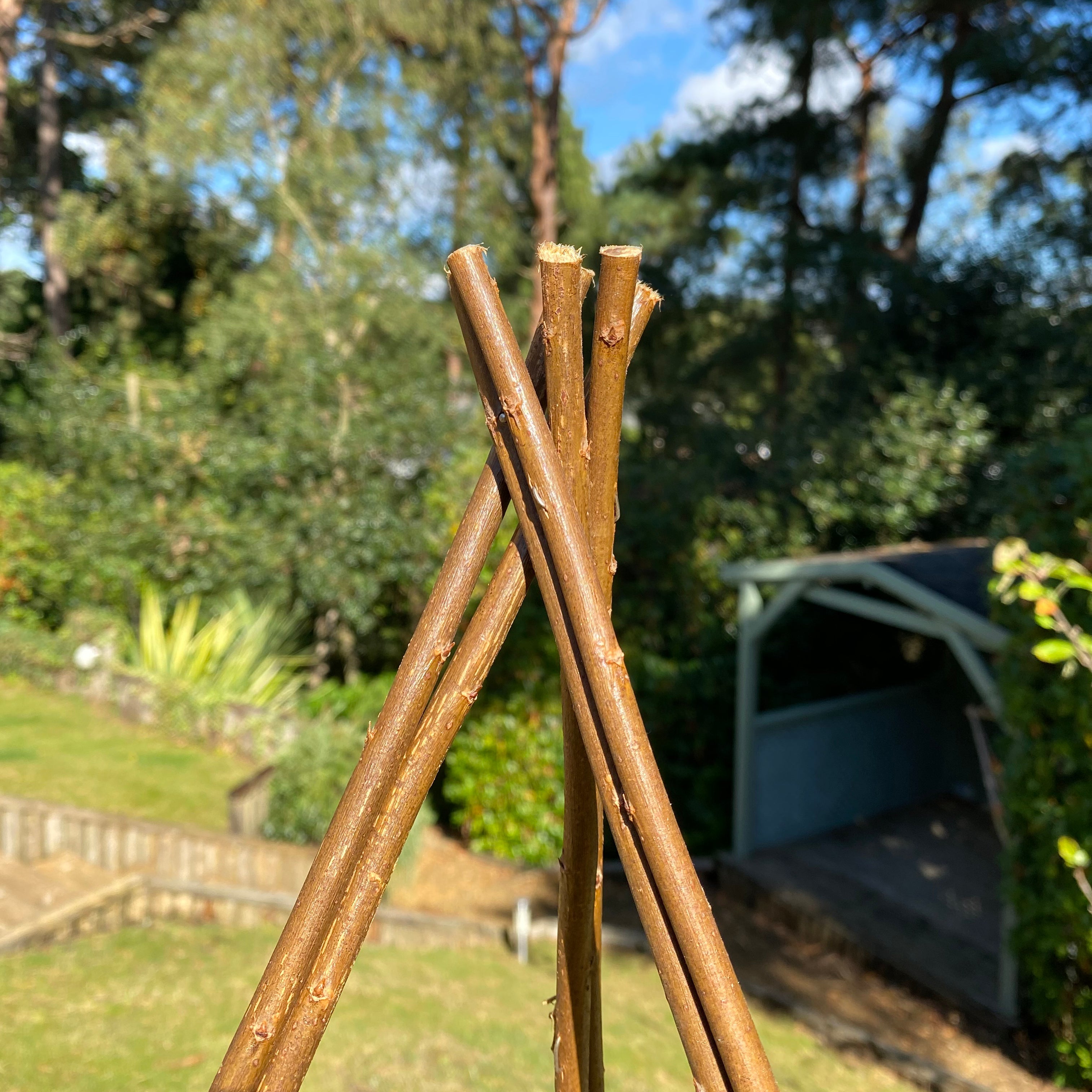 Expanding Willow Obelisk Garden Plant Support (1.2m high)