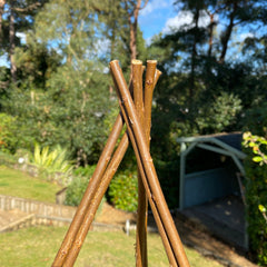 Expanding Willow Obelisk Garden Plant Support (1.2m high)
