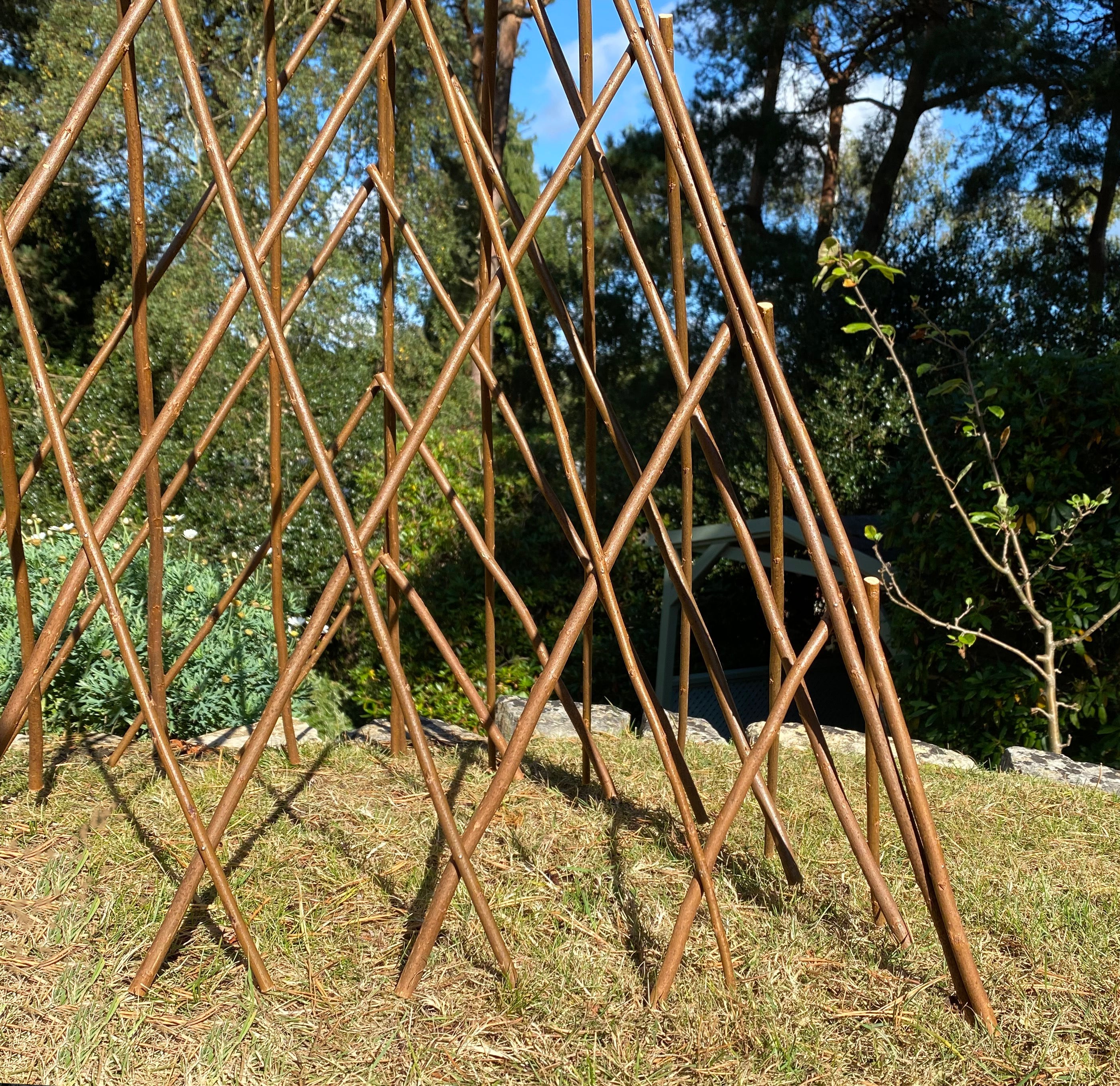 Expanding Willow Obelisk Garden Plant Support (1.2m high)