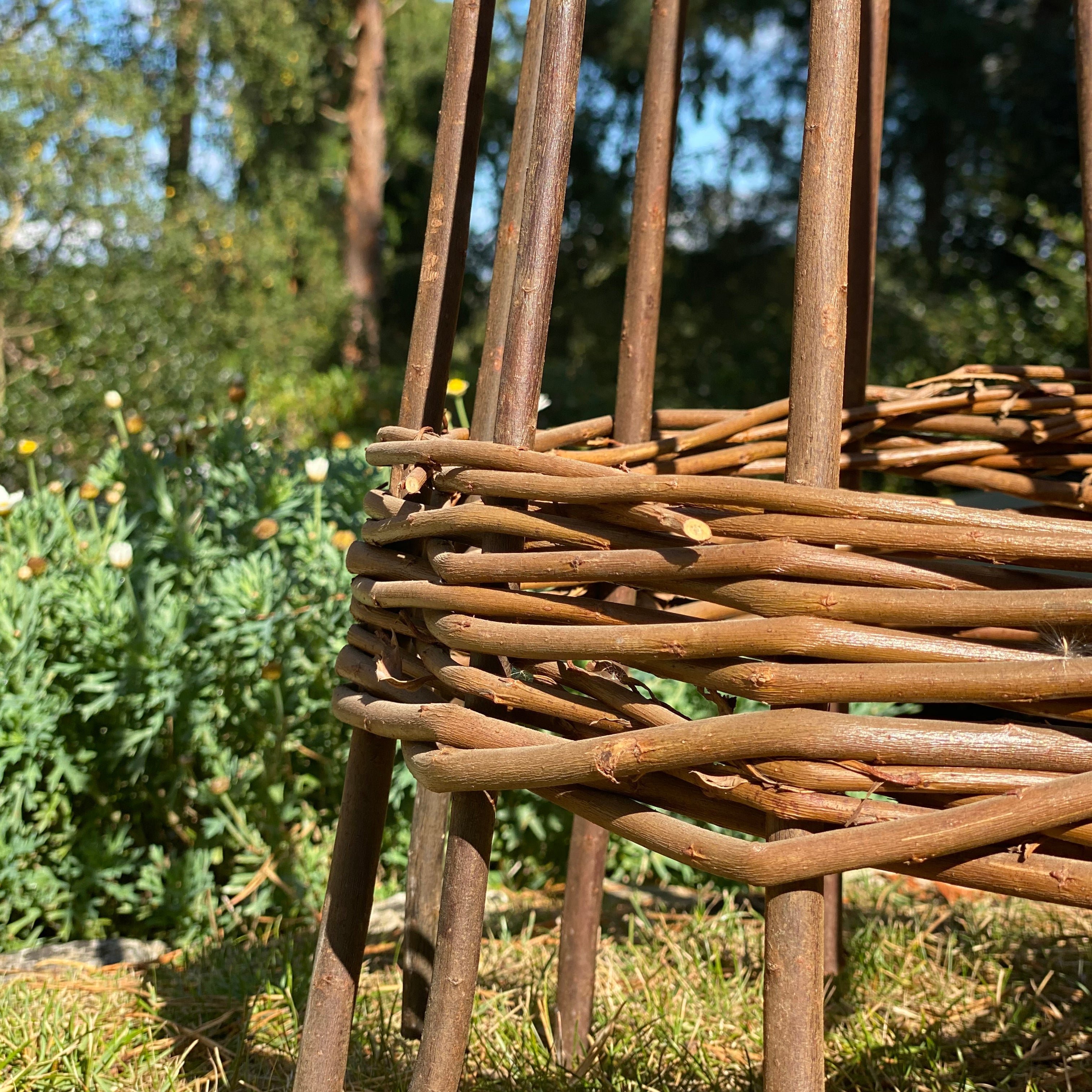 Spiral Willow Garden Obelisks Plant Support for Climbers (1.15m high) - Pack of 2