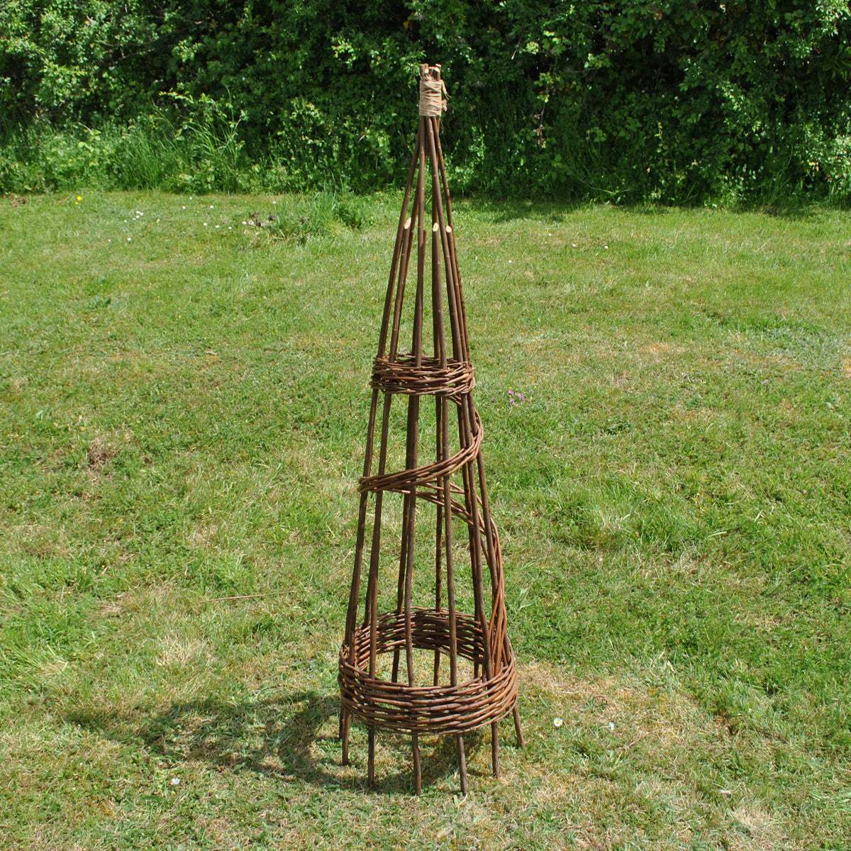 Spiral Willow Garden Obelisks Plant Support for Climbers (1.15m high)