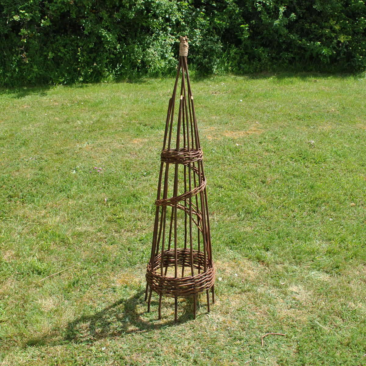 Spiral Willow Garden Obelisks Plant Support for Climbers (1.15m high)