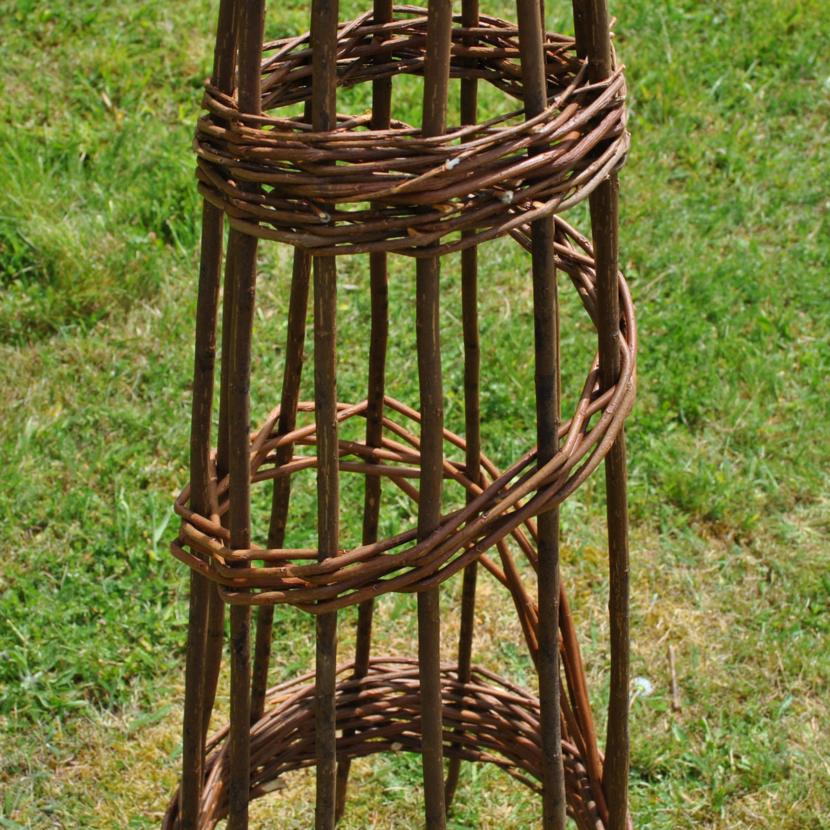 Spiral Willow Garden Obelisks Plant Support for Climbers (1.15m high) - Pack of 2