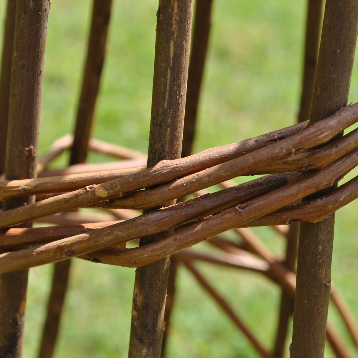 Spiral Willow Garden Obelisks Plant Support for Climbers (1.15m high)