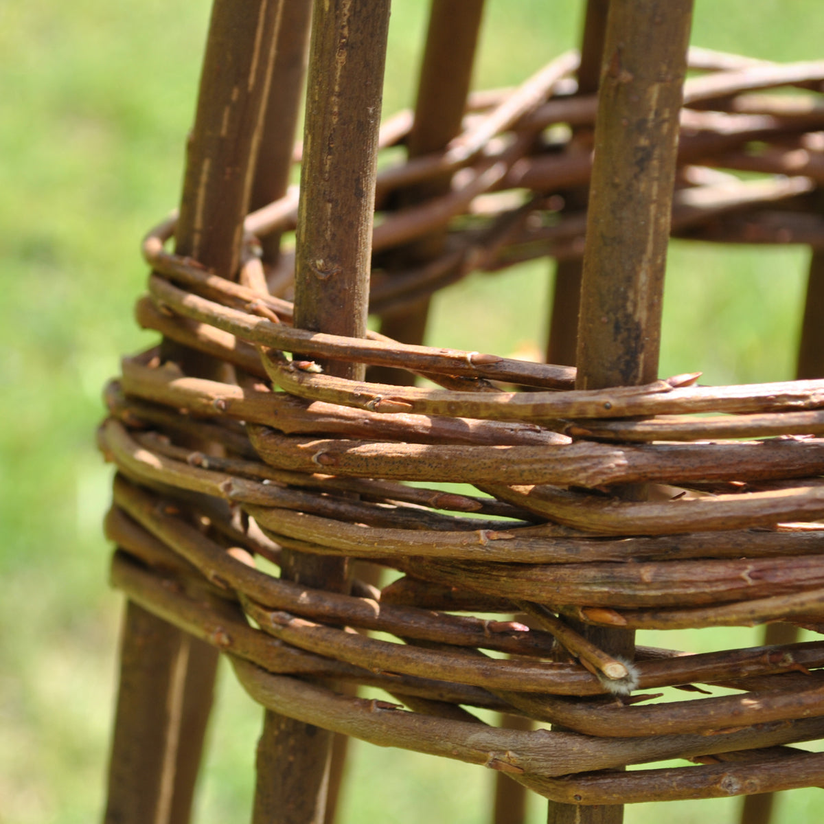 Spiral Willow Garden Obelisks Plant Support for Climbers (1.15m high)