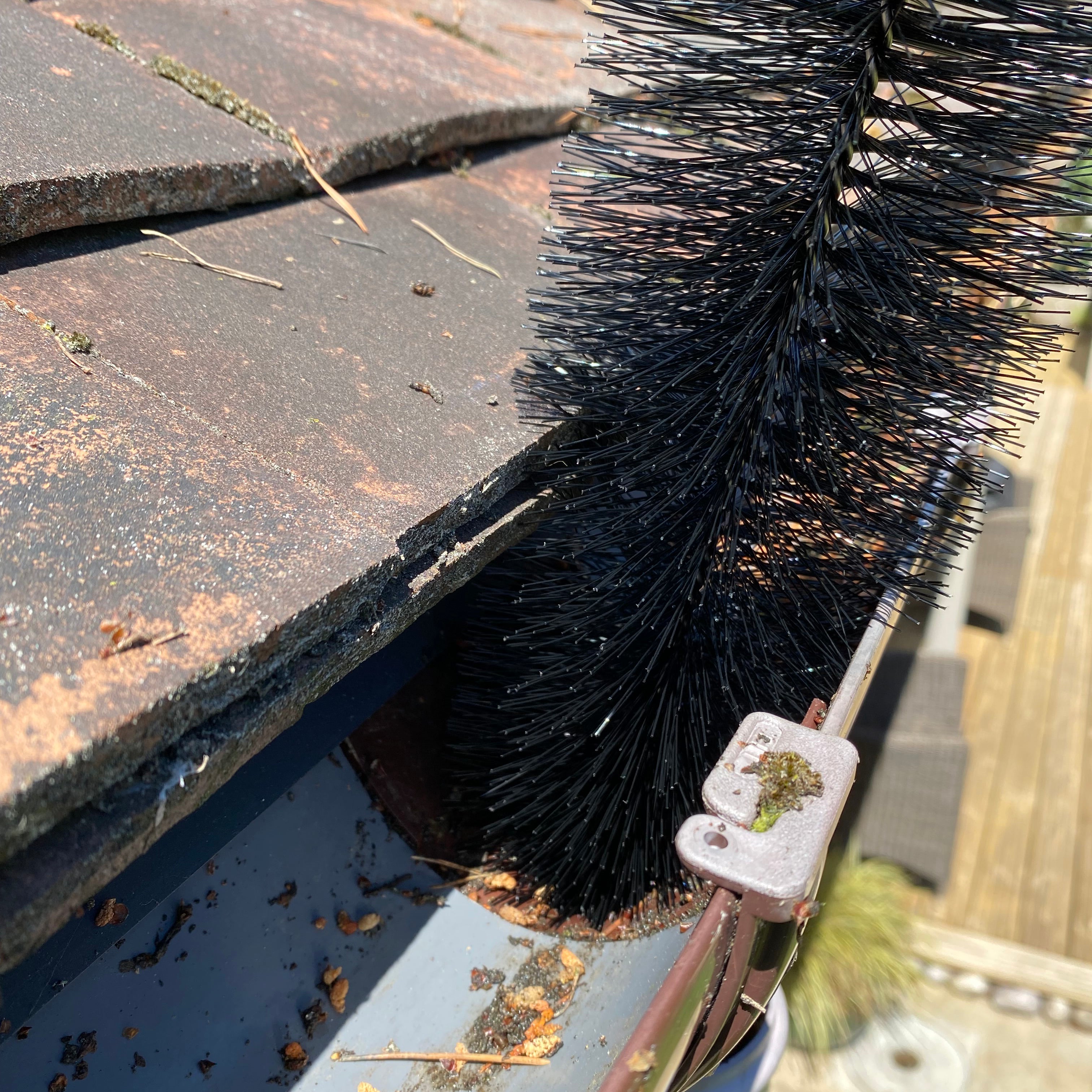 Drain & Gutter Downpipe Leaf Guard Brush Plugs 30cm (Set of 12)