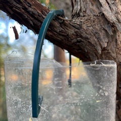 Bottle Top Bird Seed Feeders (Set of 3)