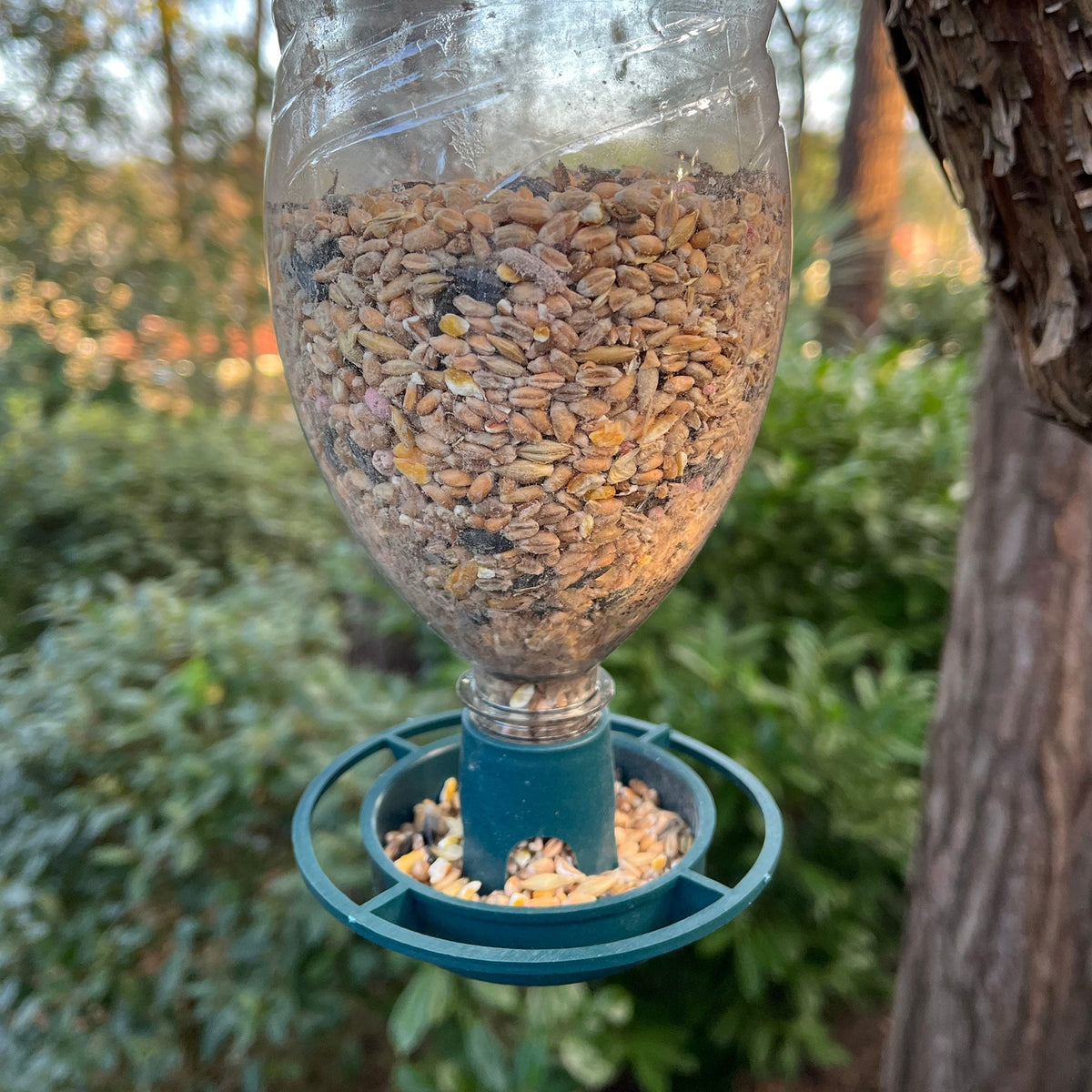 Bottle Top Bird Seed Feeders (Set of 6)