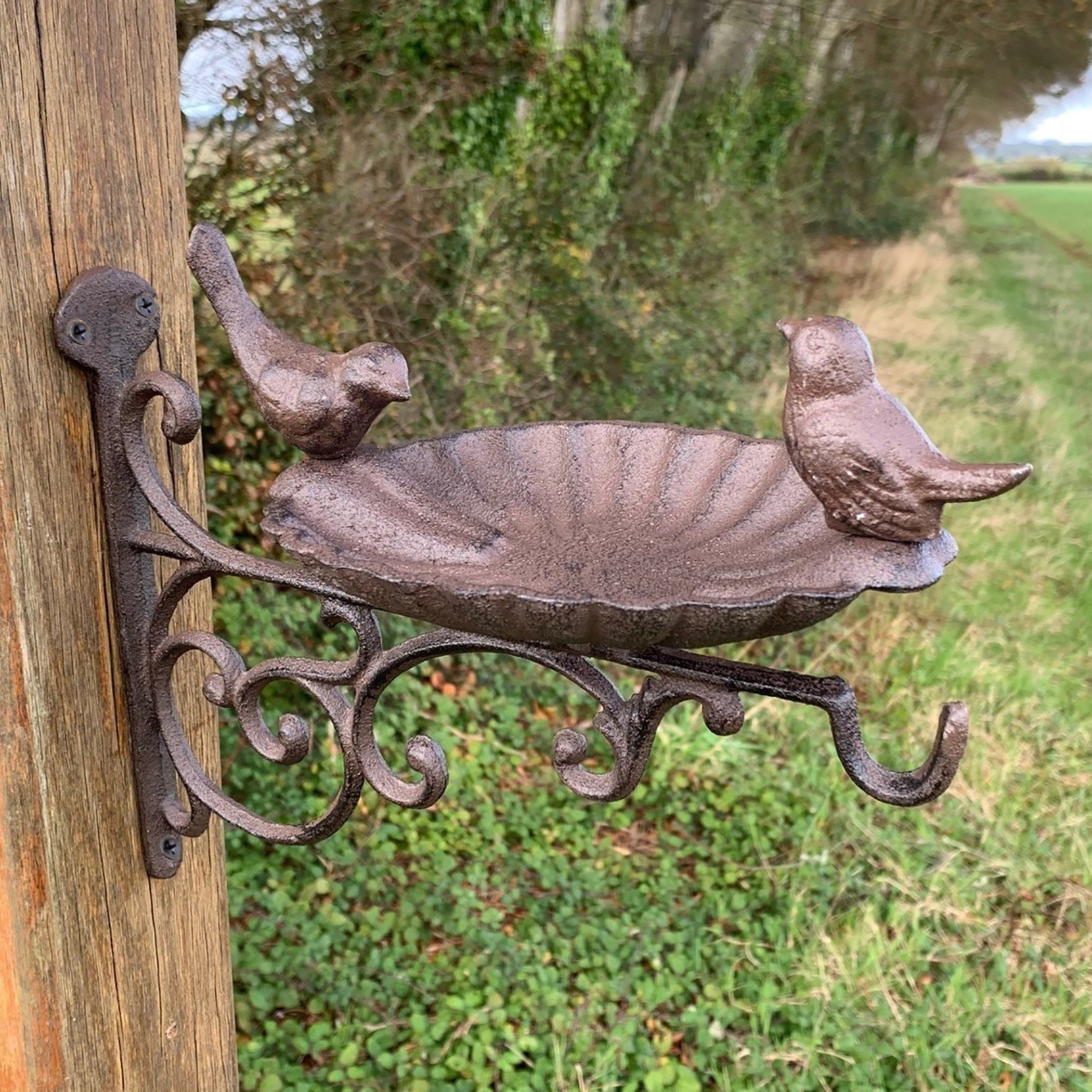Cast Iron Wall Mounted Bird Feeder Bath Venus Hanger (Set of 2)