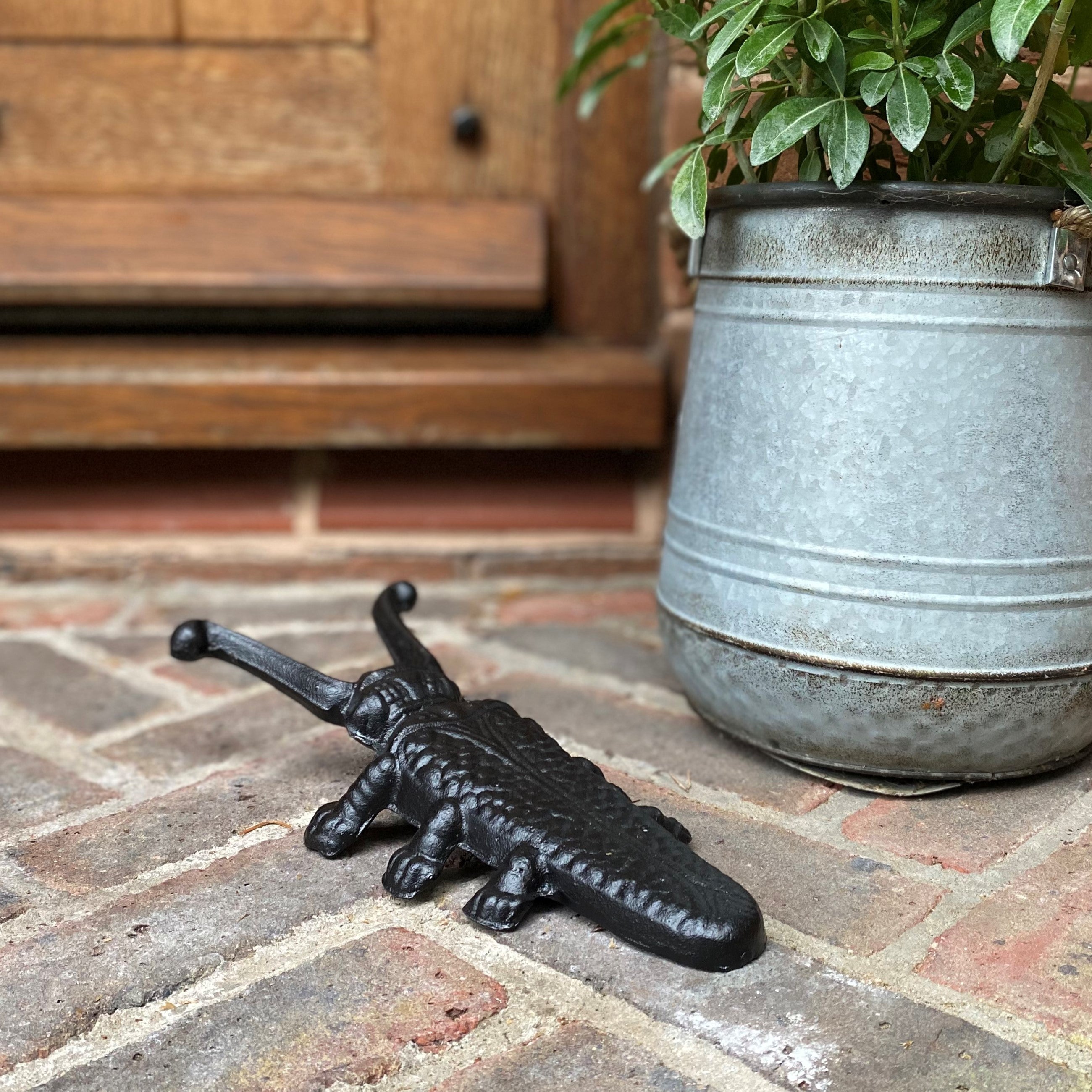 Cast Iron Beetle Boot Jack Vintage Wellington Boot Remover (Set of 2)