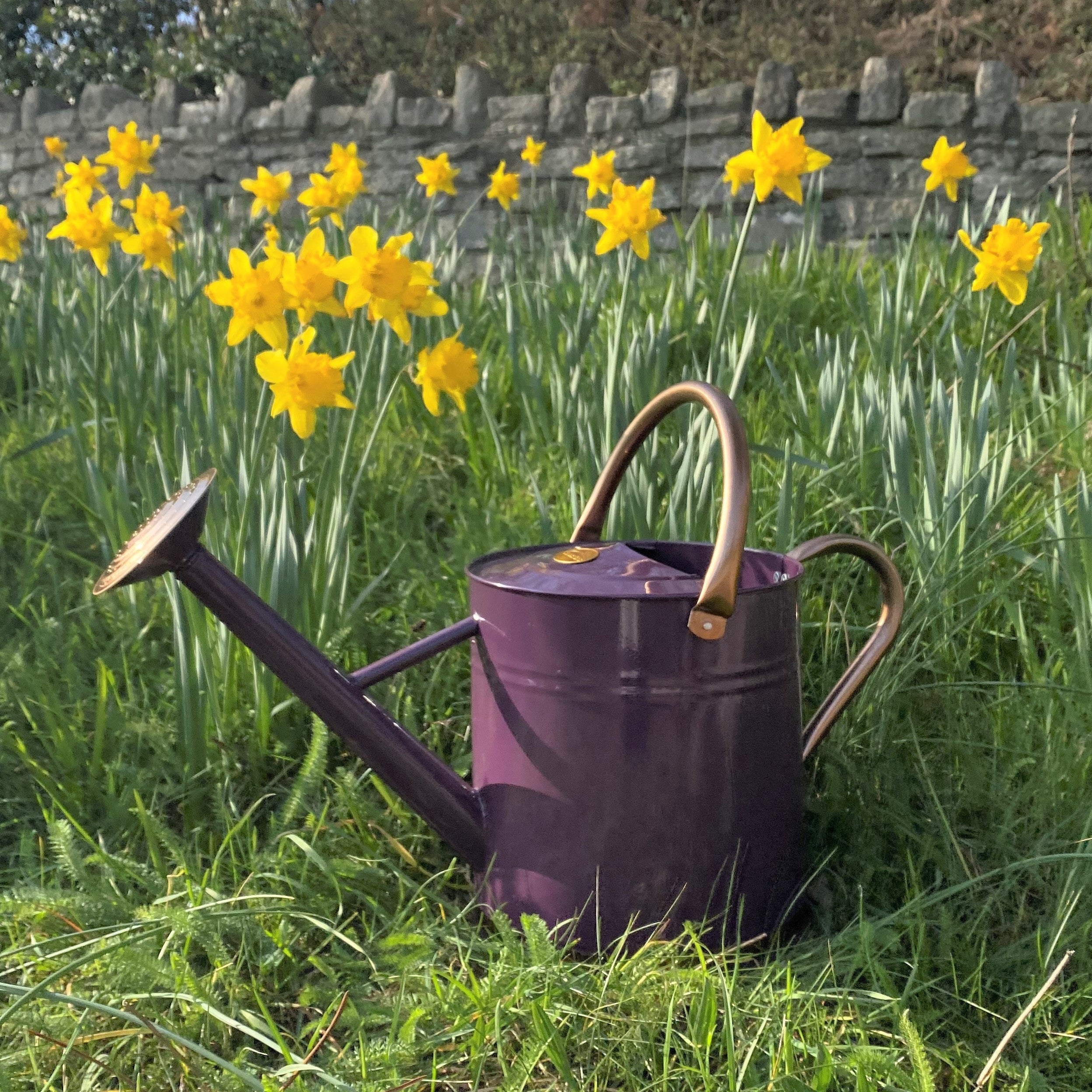 Heritage Heather & Copper Metal Watering Can (9 Litre)