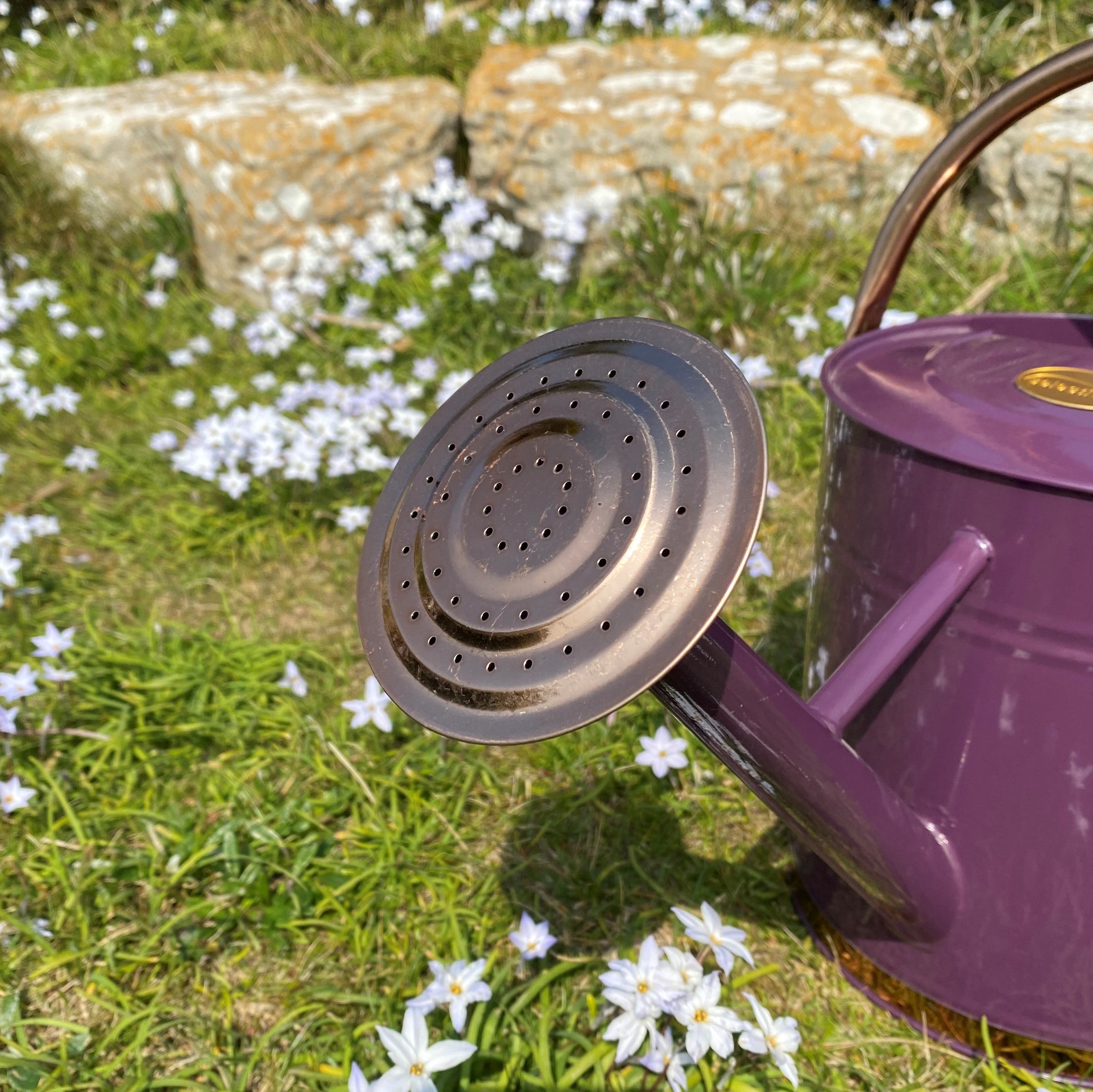 Heritage Heather & Copper Metal Watering Can (9 Litre)