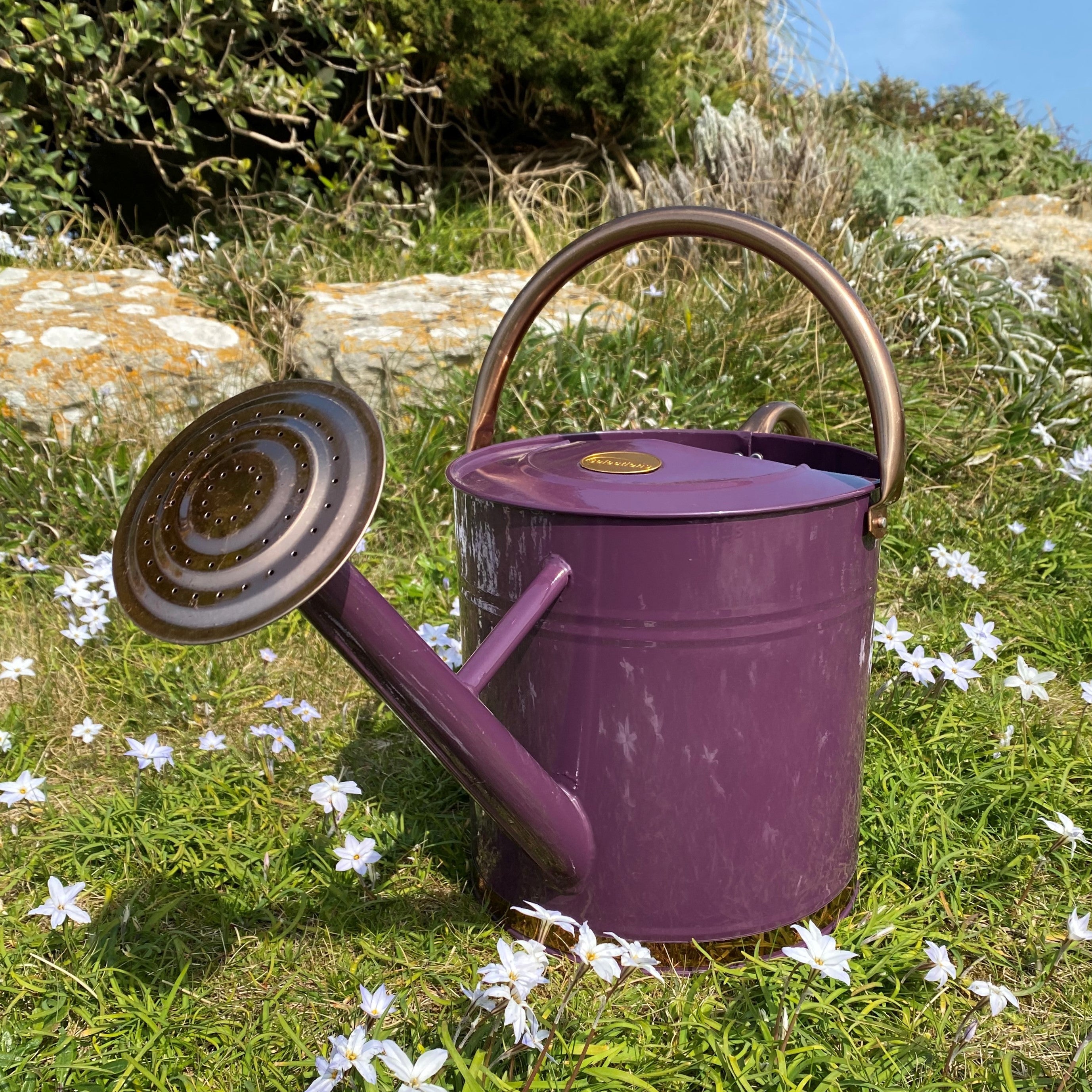 Heritage Heather & Copper Metal Watering Can (9 Litre)