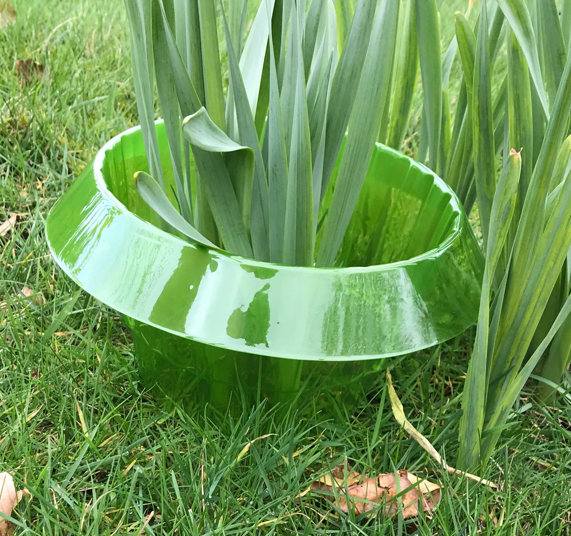 Plastic Slug & Snail Plant Protection Collars - Pack of 24