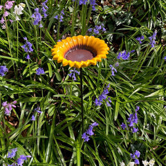 Cast Iron Wild Bird Sunflower Dish Bird Feeder
