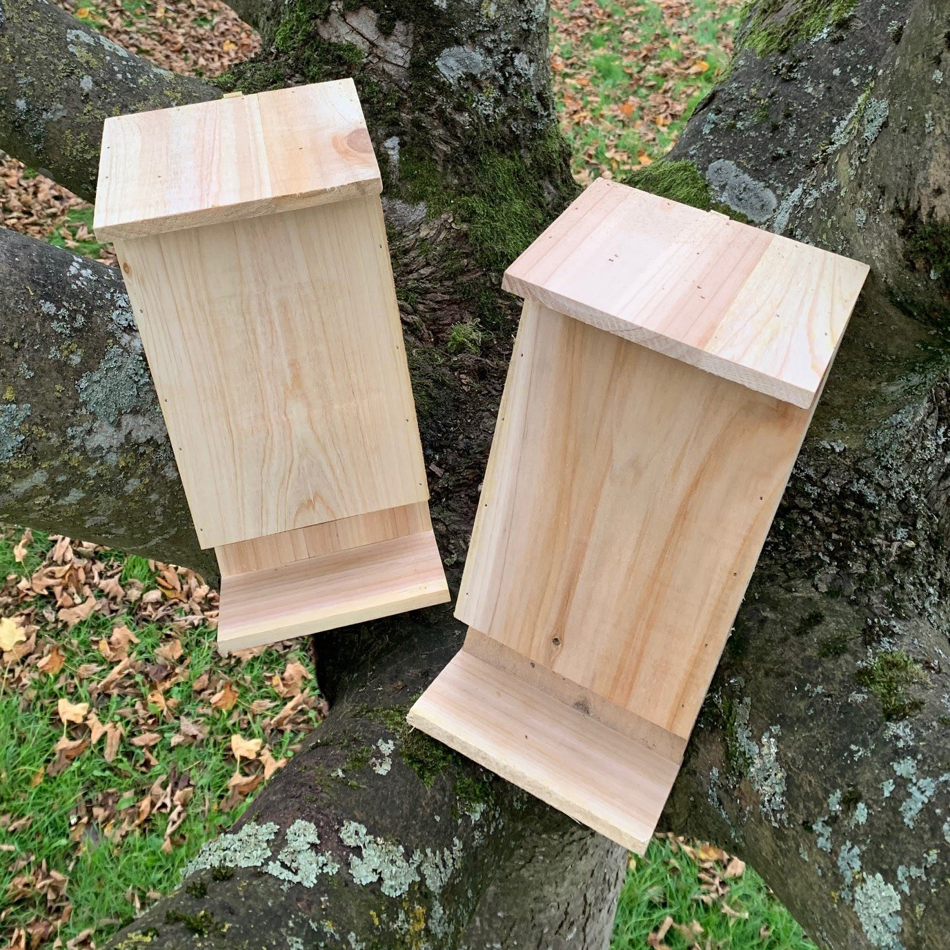 Wooden Bat Box House Rooster Nest with Landing Perch (Set of 2)