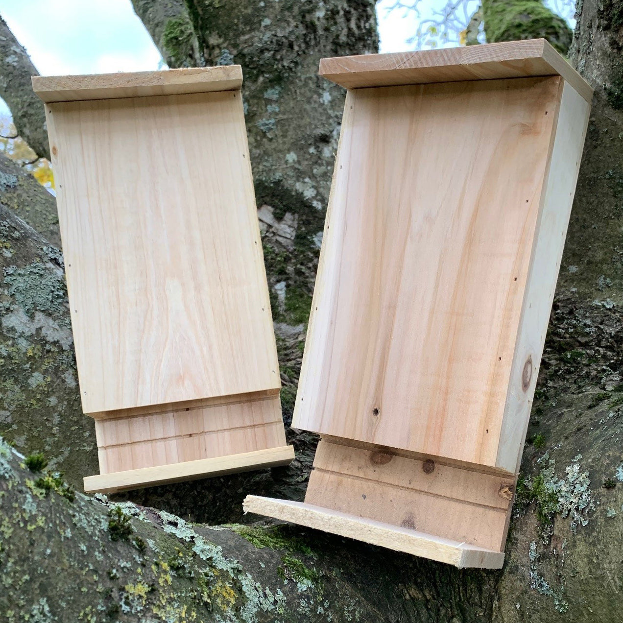 Wooden Bat Box House Rooster Nest with Landing Perch (Set of 2)