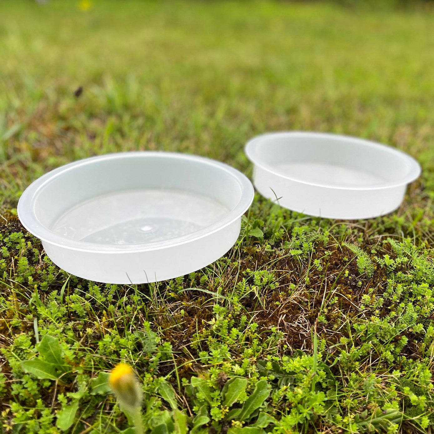 Bird Bath Water Dish for Metal Bird Feeding Stations (Set of 2)