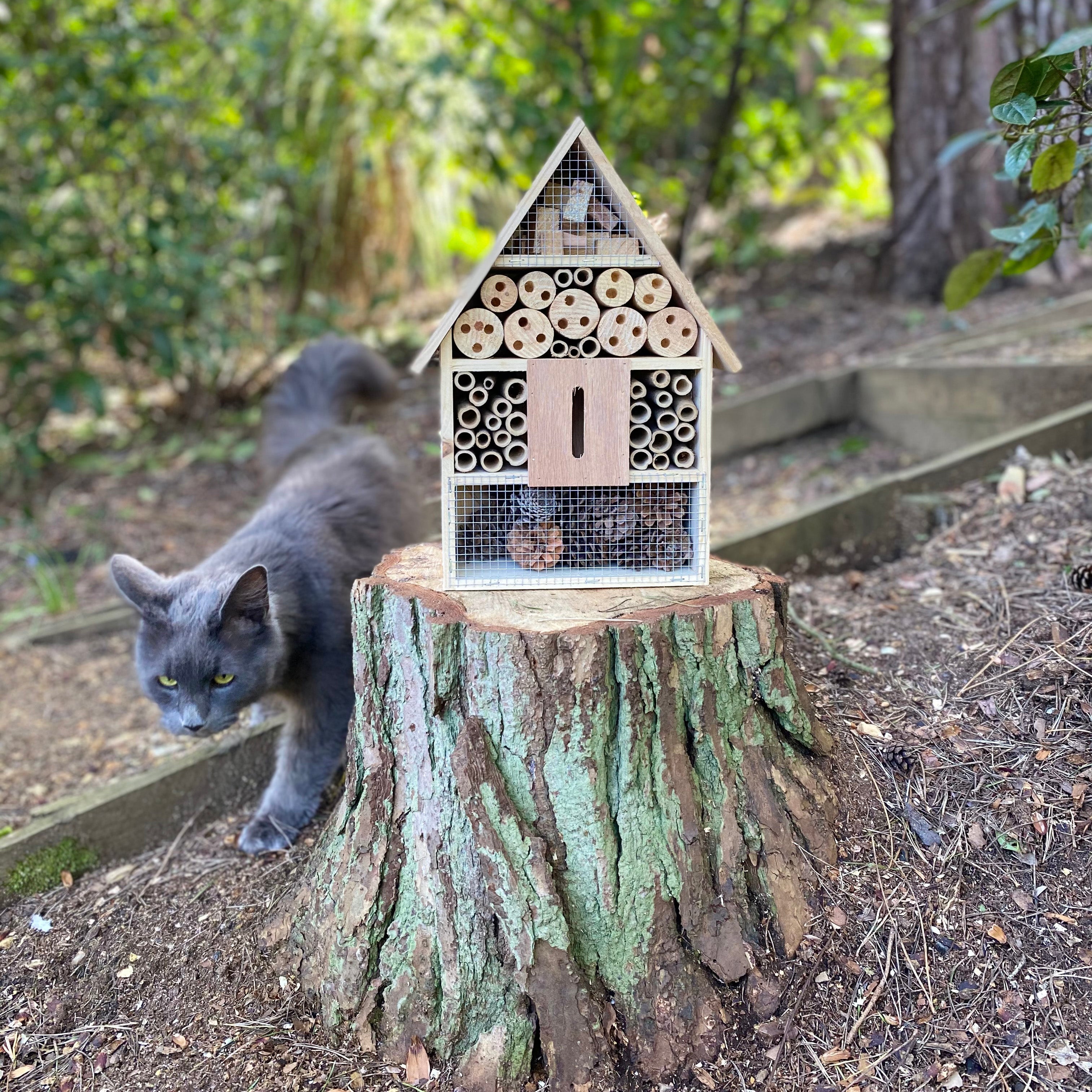 Wooden Insect, Butterfly, Bug & Bee House for the Garden