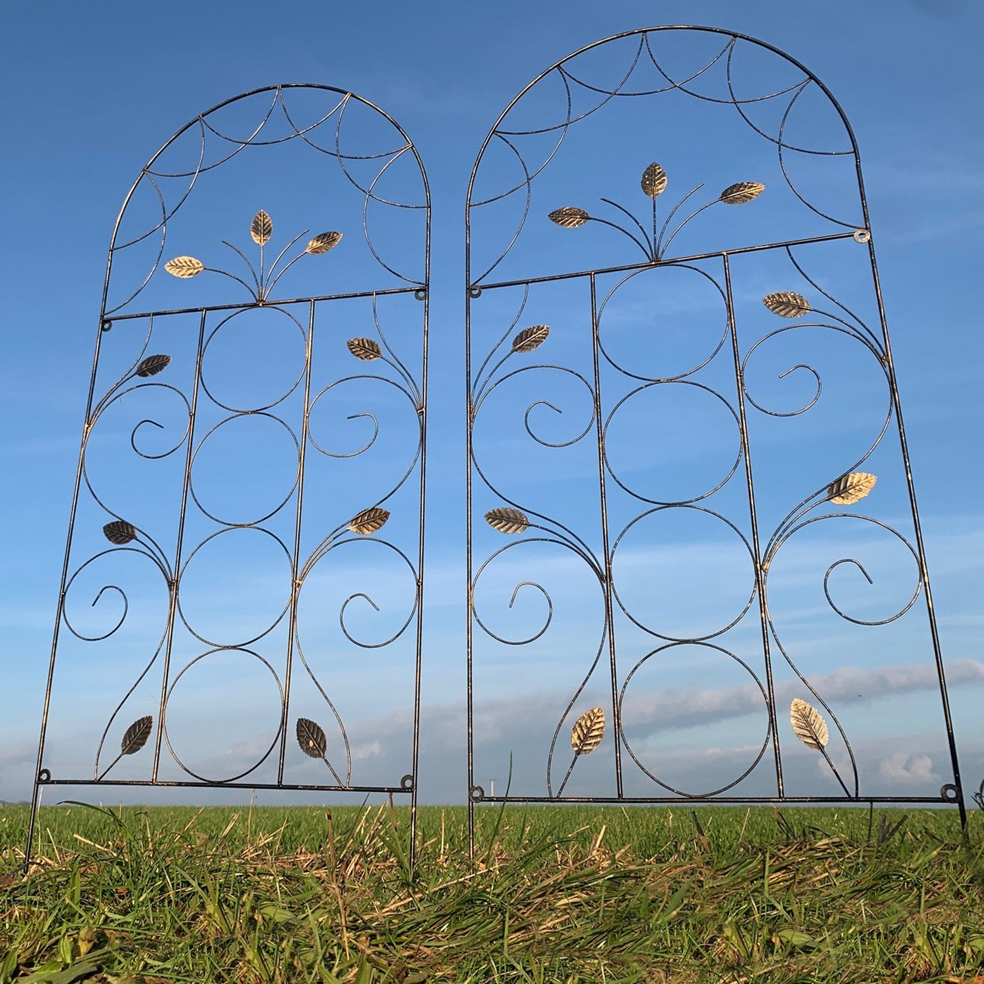 Leaf Design Metal Garden Trellis (120cm x 50cm) - Pack of 2