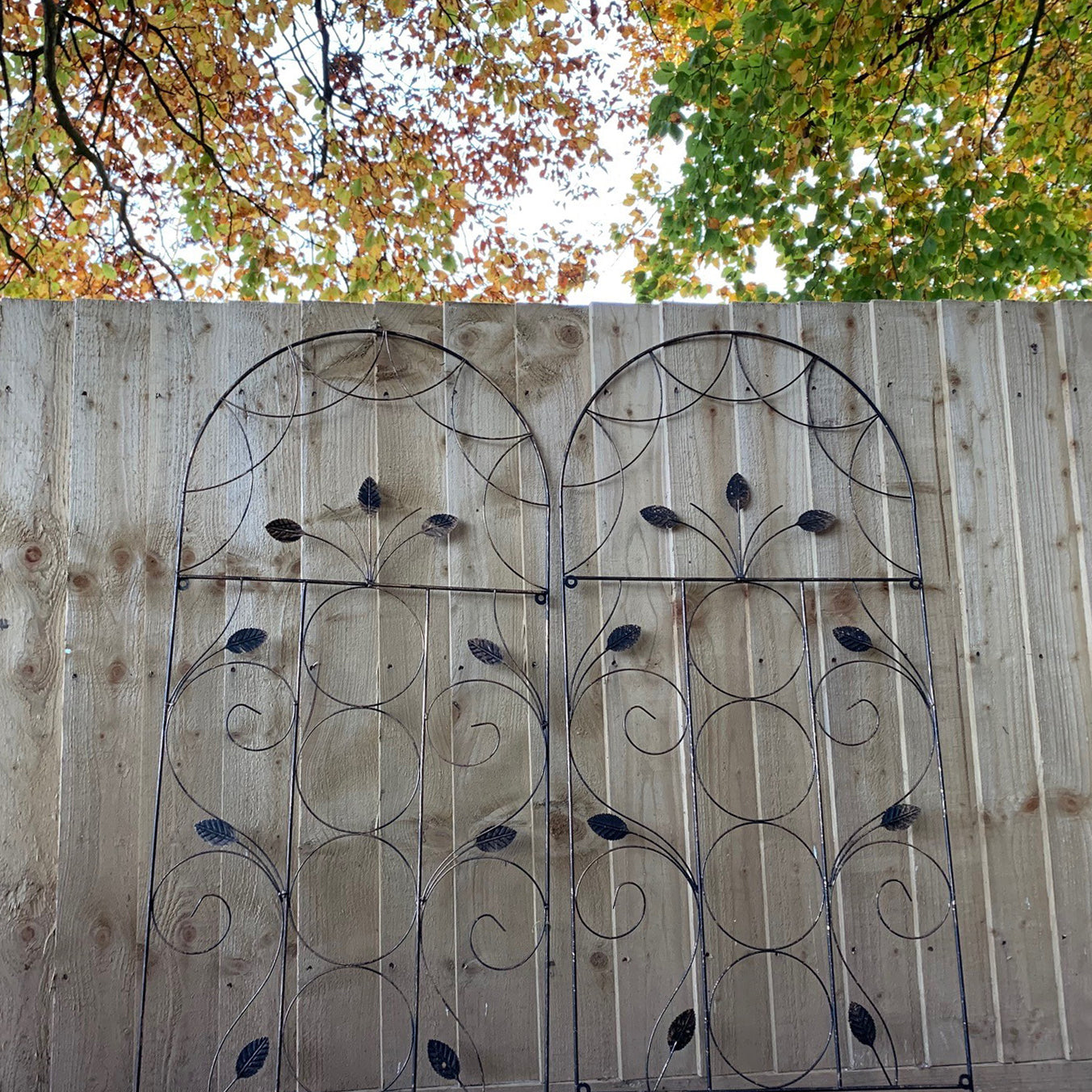 Leaf Design Metal Garden Trellis (120cm x 50cm) - Pack of 5