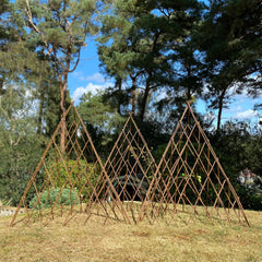 Expanding Willow Obelisks Garden Plant Support (1.2m high) - Pack of 3
