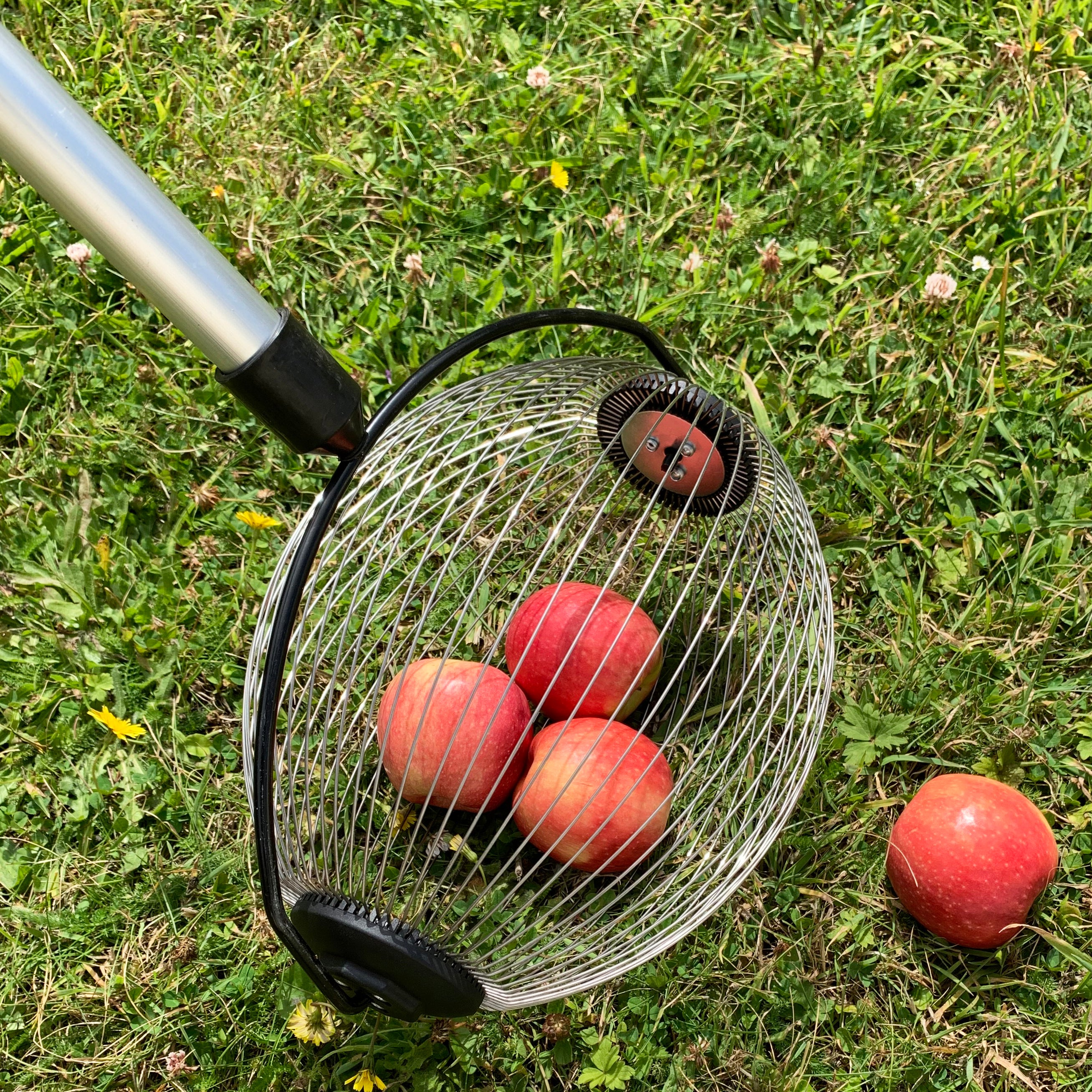 Apple Harvesting Collection Kit - Apple Picker Plus Rolling Collector