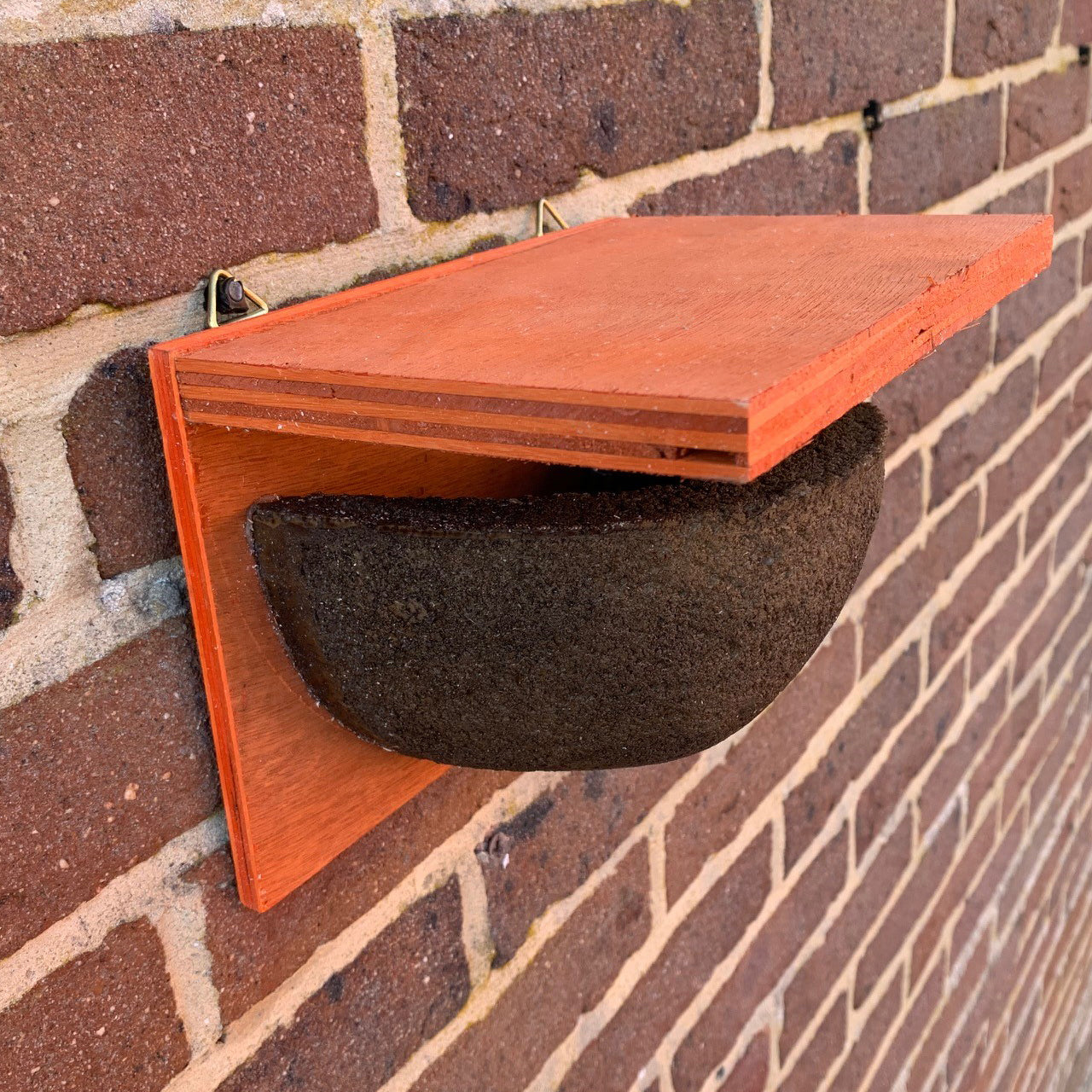 House Martin Bird Nest Box Rounded Half Cup With Top Nester (Set of 2)