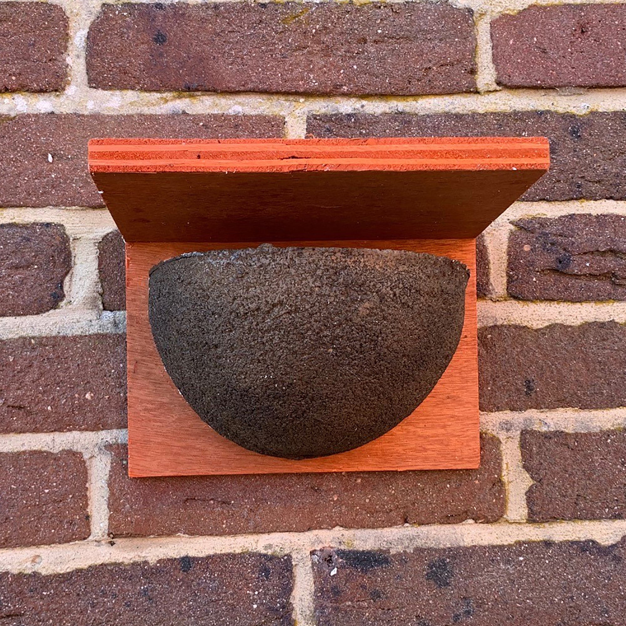 House Martin Bird Nest Box Rounded Half Cup With Top Nester