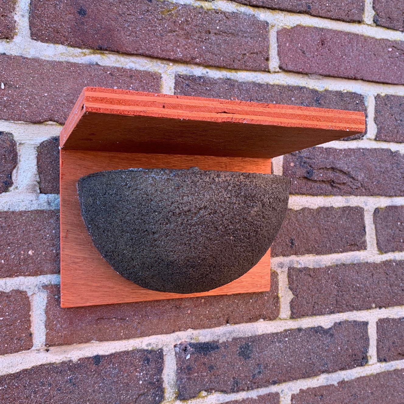 House Martin Bird Nest Box Rounded Half Cup With Top Nester (Set of 2)