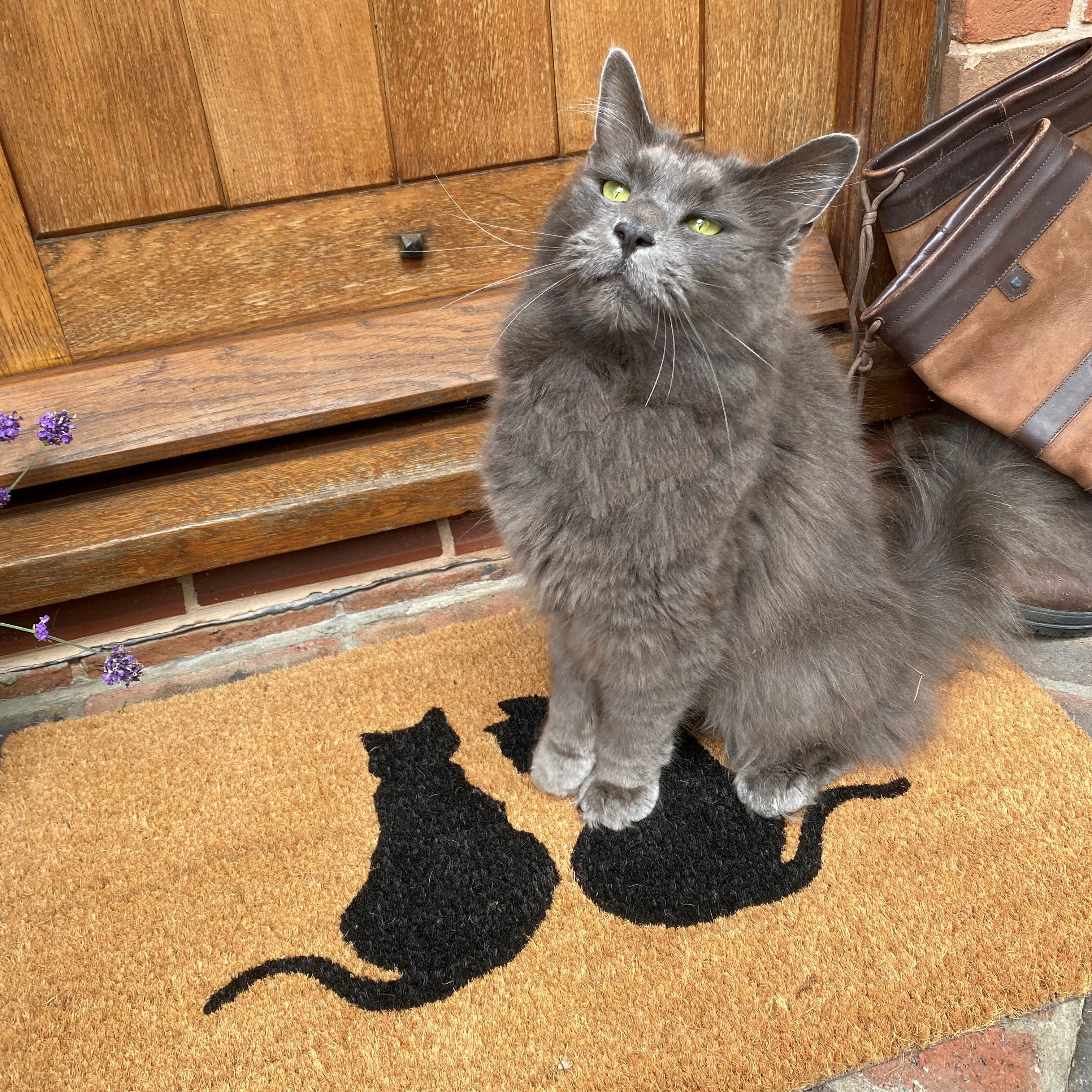 Cat Silhouette Design Print Indoor & Outdoor Coir Doormat