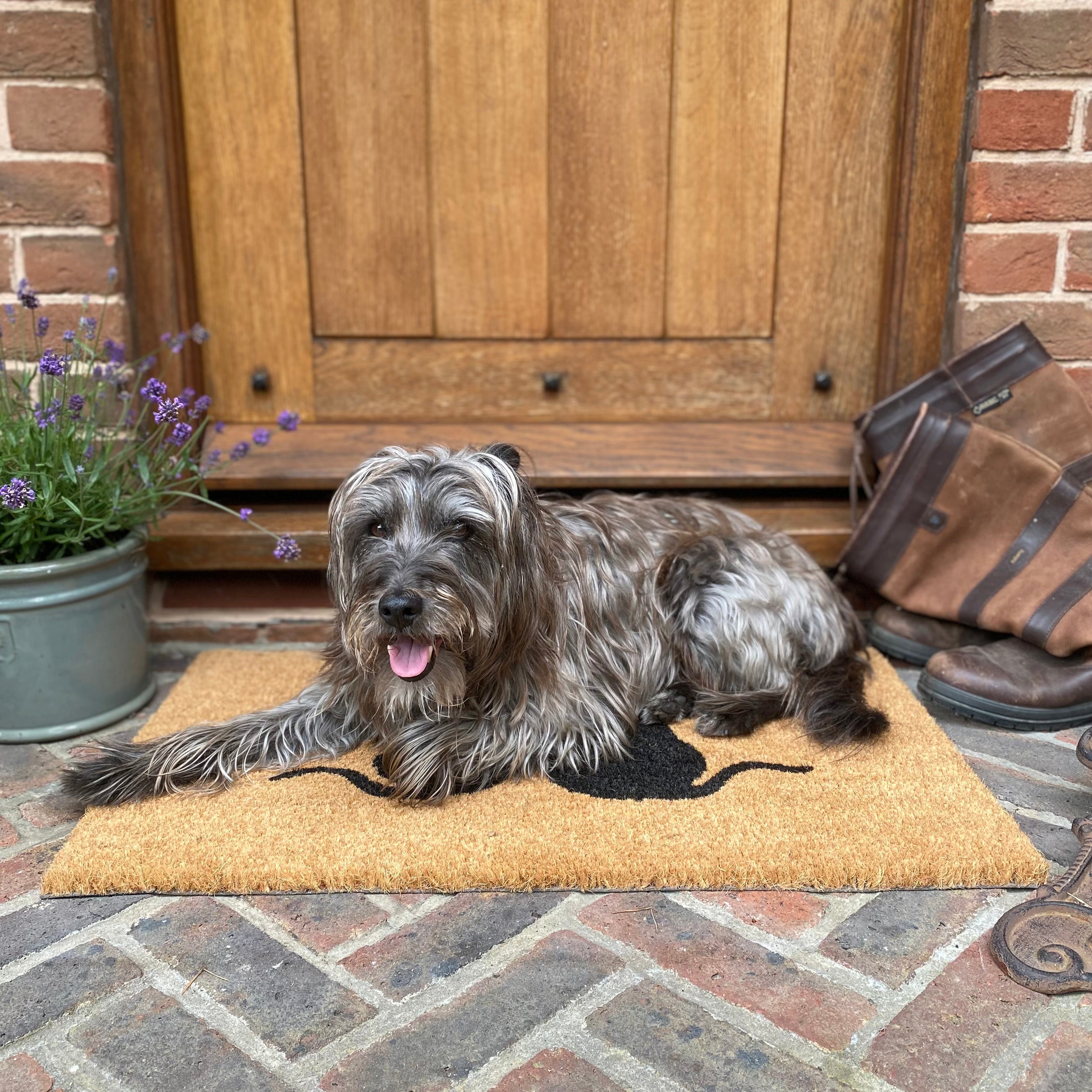 Cat Silhouette Design Print Indoor & Outdoor Coir Doormat