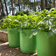 Potato & Vegetable Planter Grow Bags Fabric Pots - Pack of 6