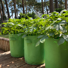 Potato & Vegetable Planter Grow Bags Fabric Pots - Pack of 3
