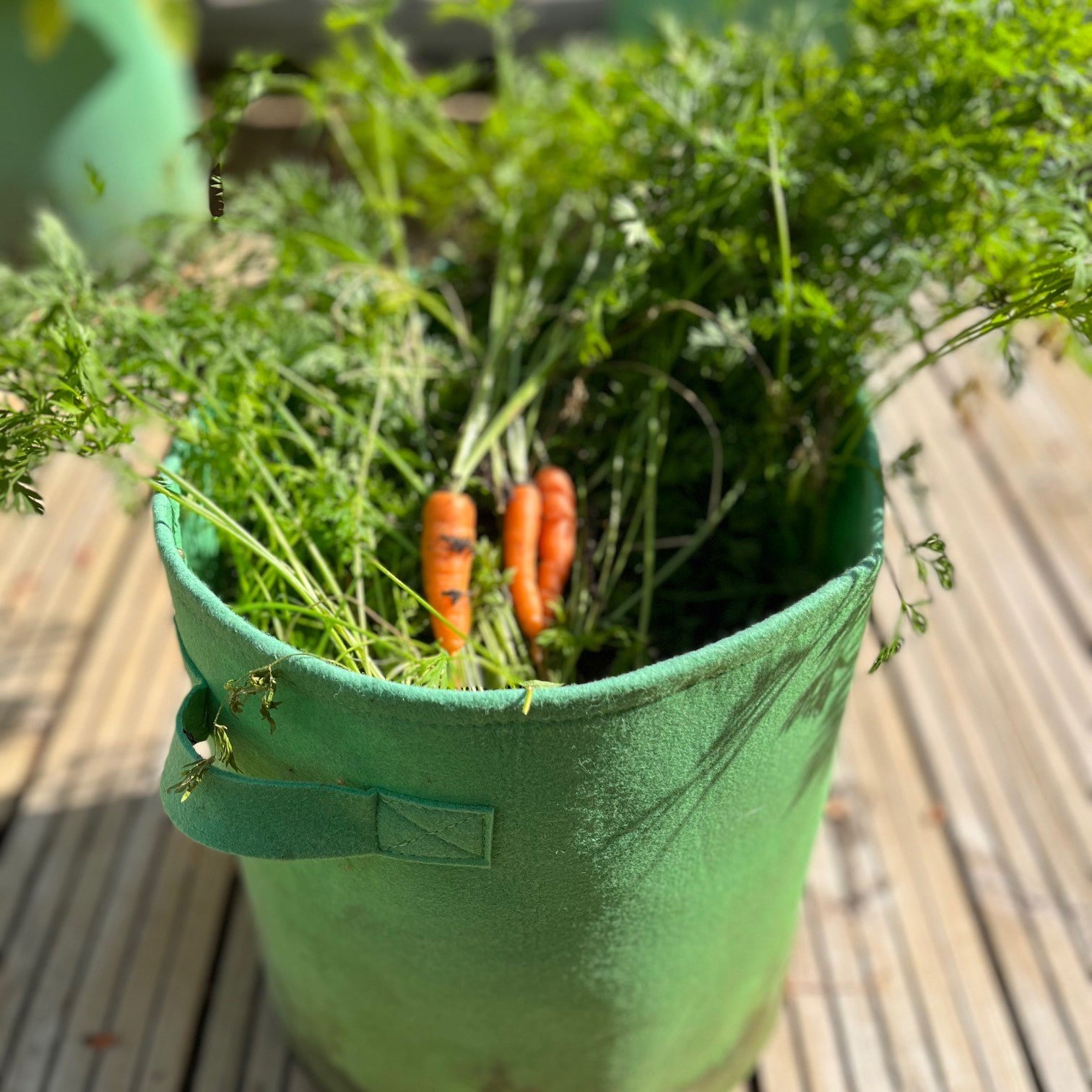 Potato & Vegetable Planter Grow Bags Fabric Pots - Pack of 6