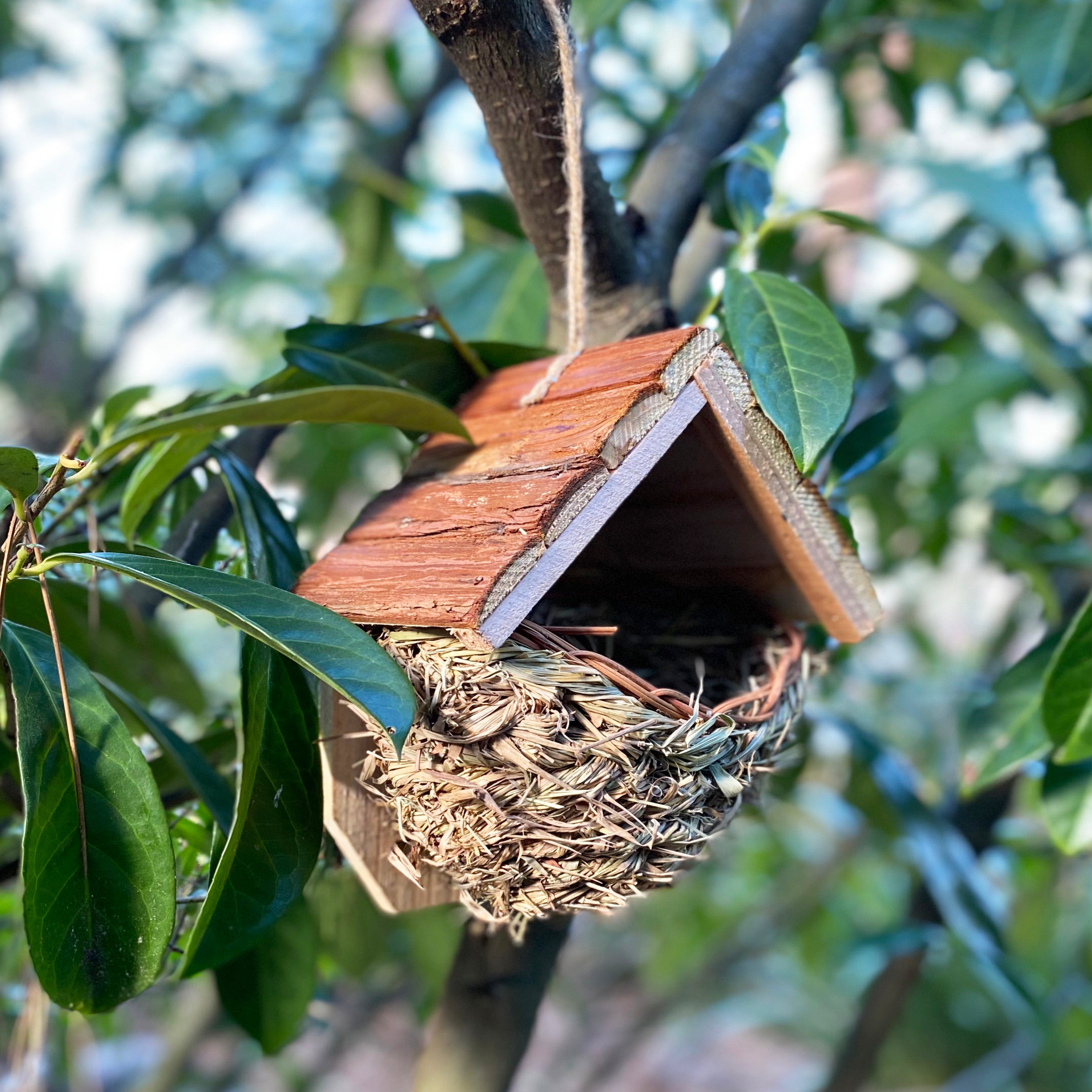 Woven House Martin Bird Rounded Cup Nester with Roof
