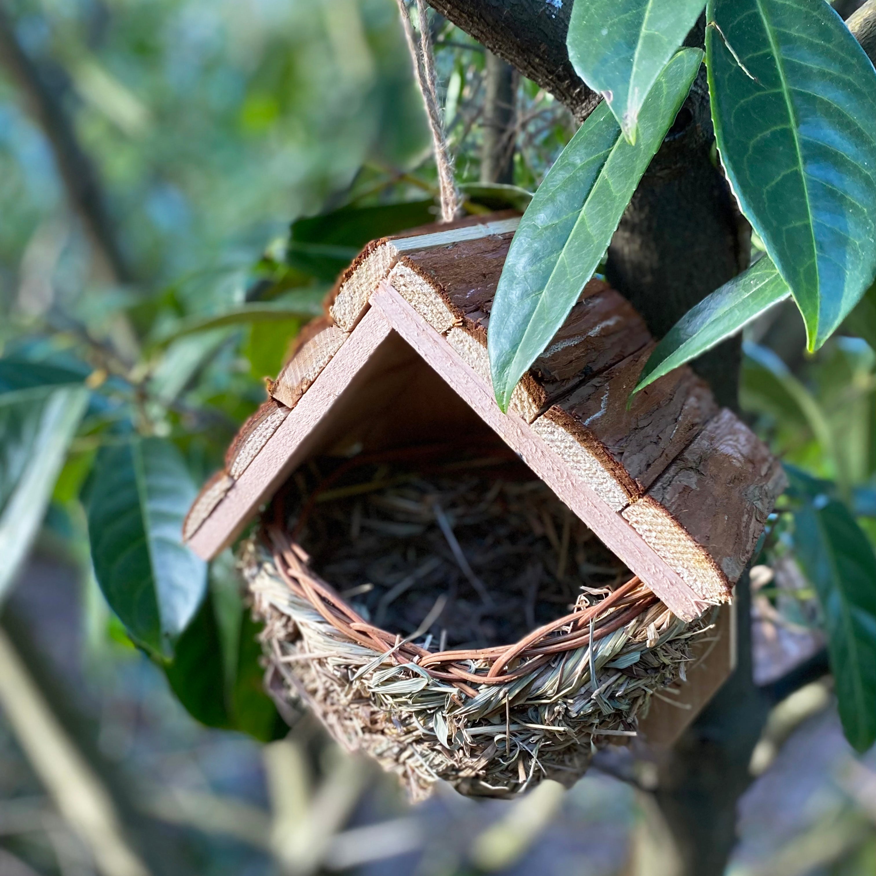 Woven House Martin Bird Rounded Cup Nester with Roof