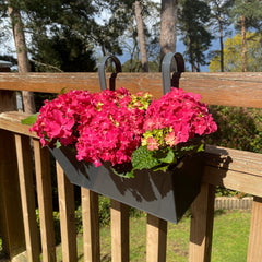 French Grey Balcony Railing Hanging Planters - Pack of 2