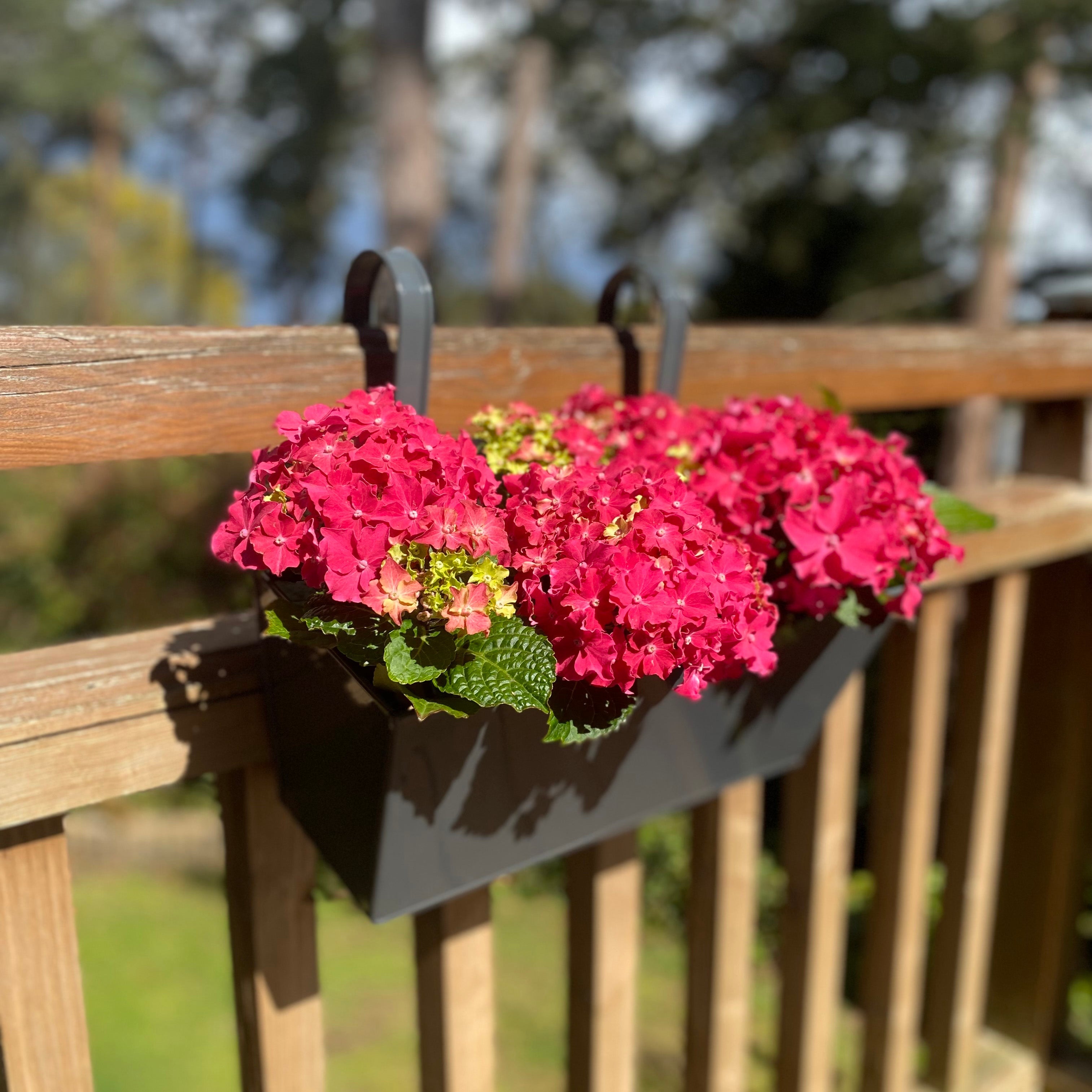 French Grey Balcony Railing Hanging Planters - Pack of 2