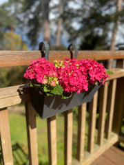 French Grey Balcony Railing Hanging Planters - Pack of 2