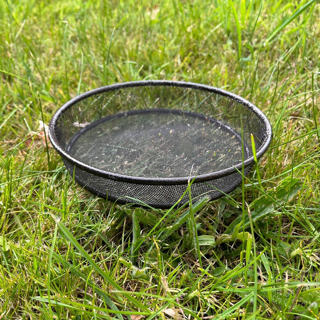 Bird Seed, Nuts, Mealworms Metal Mesh Dish Tray for Metal Bird Feeding Stations