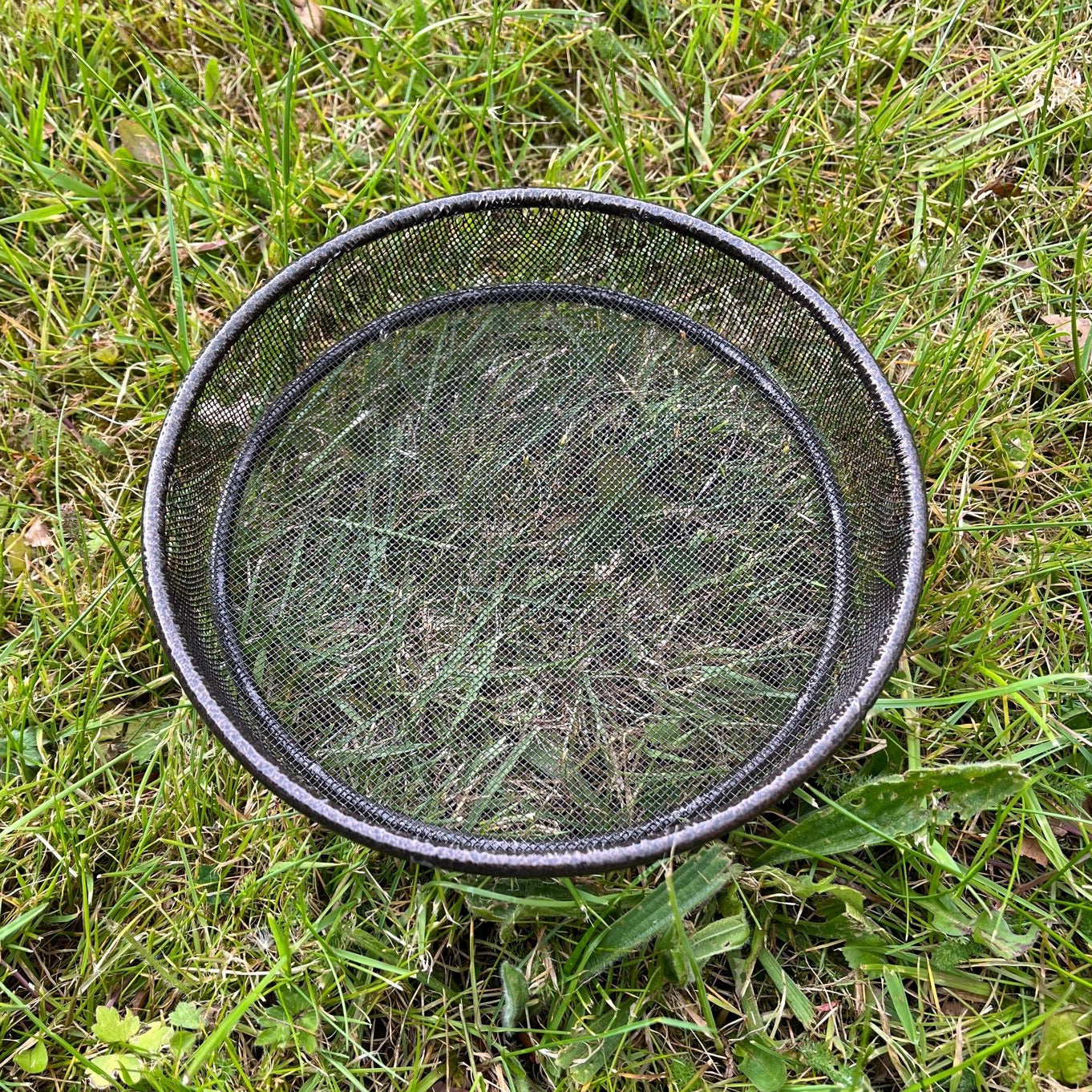 Bird Seed, Nuts, Mealworms Metal Mesh Dish Tray for Metal Bird Feeding Stations